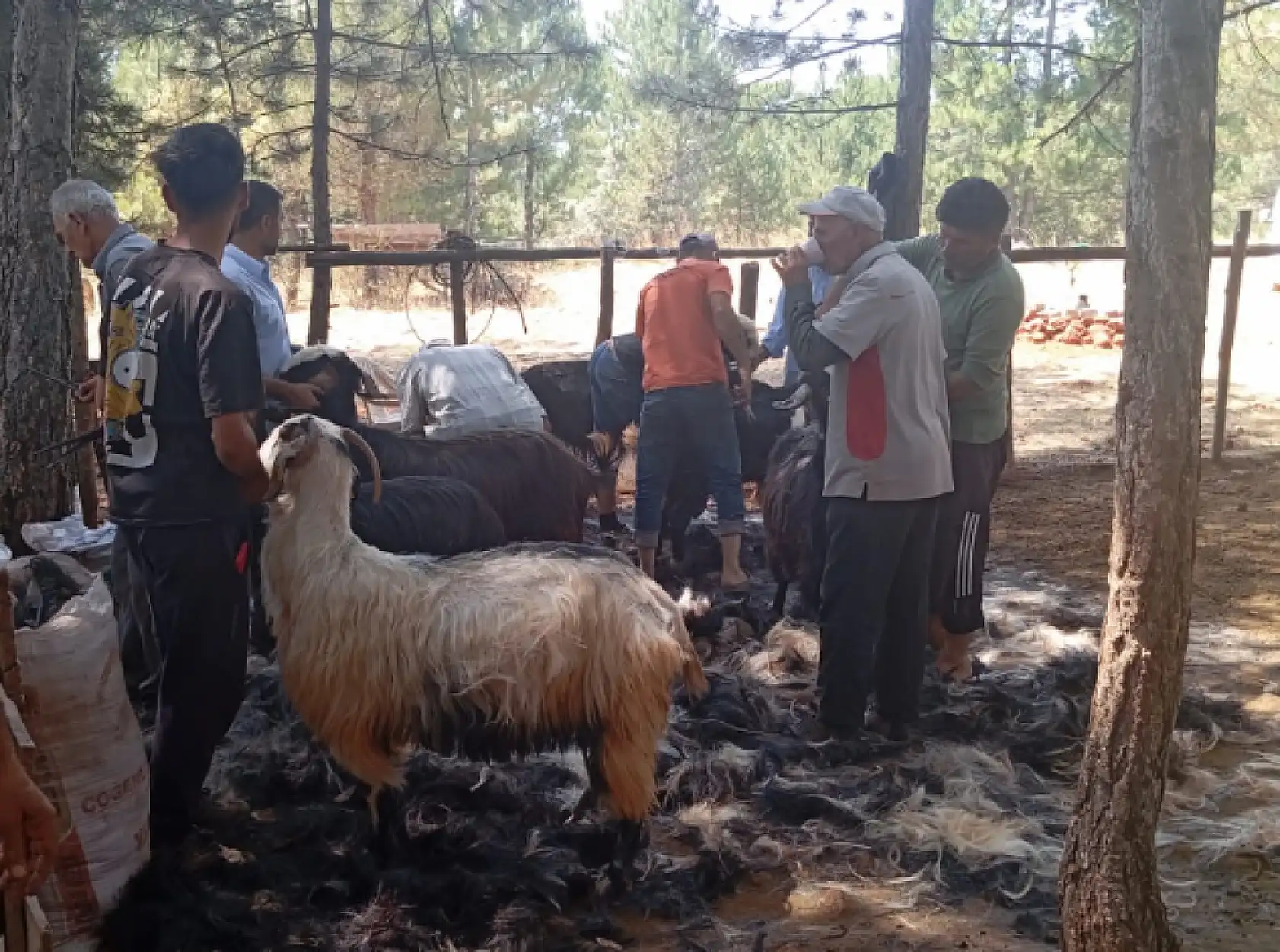 Konya'da yüz yıllık gelenek yaşatılıyor: 'Neredeyse bitme noktasına geldi'