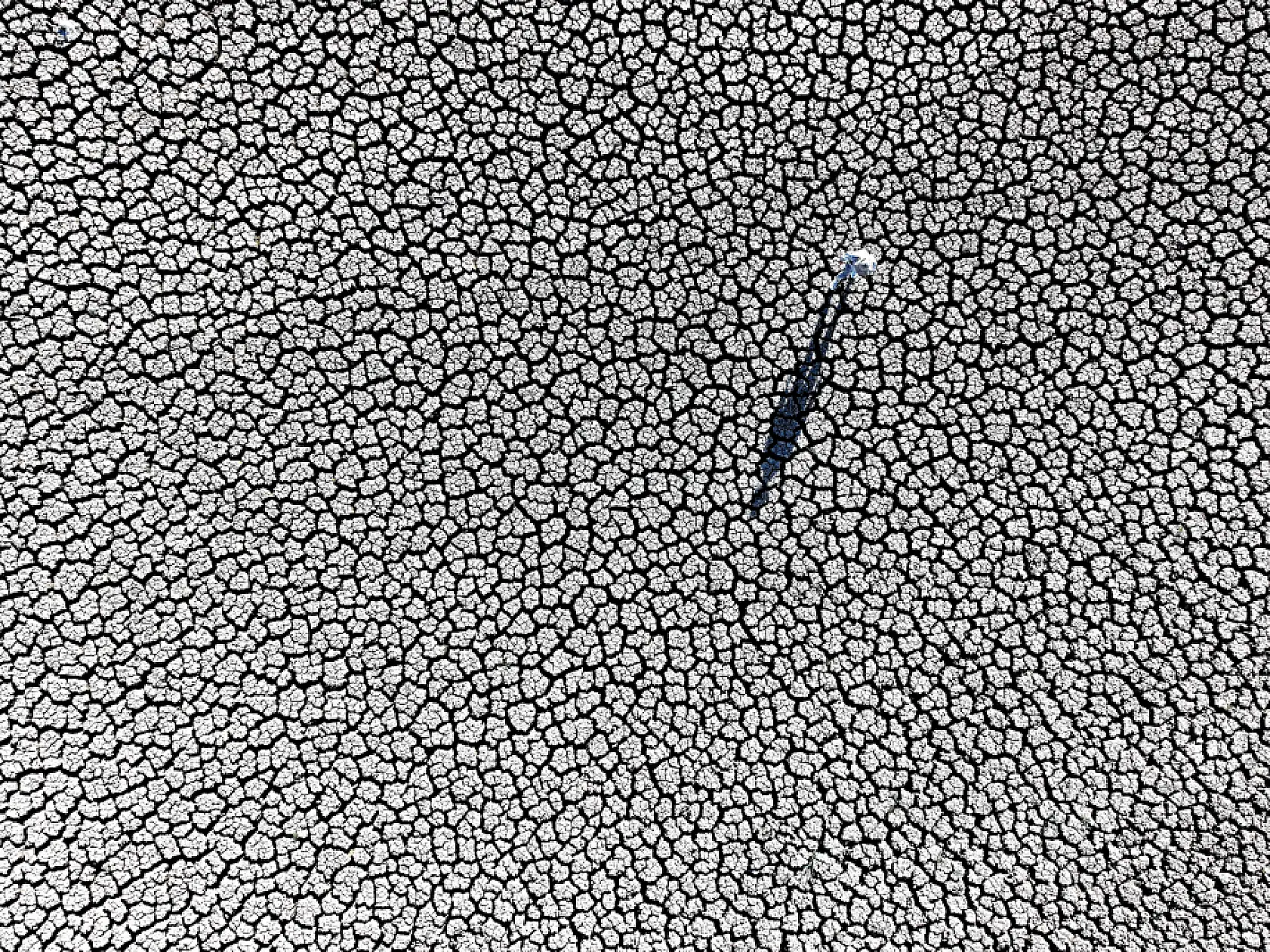 Konya'da su krizi derinleşiyor: Kuraklık baraj ve gölleri vurdu