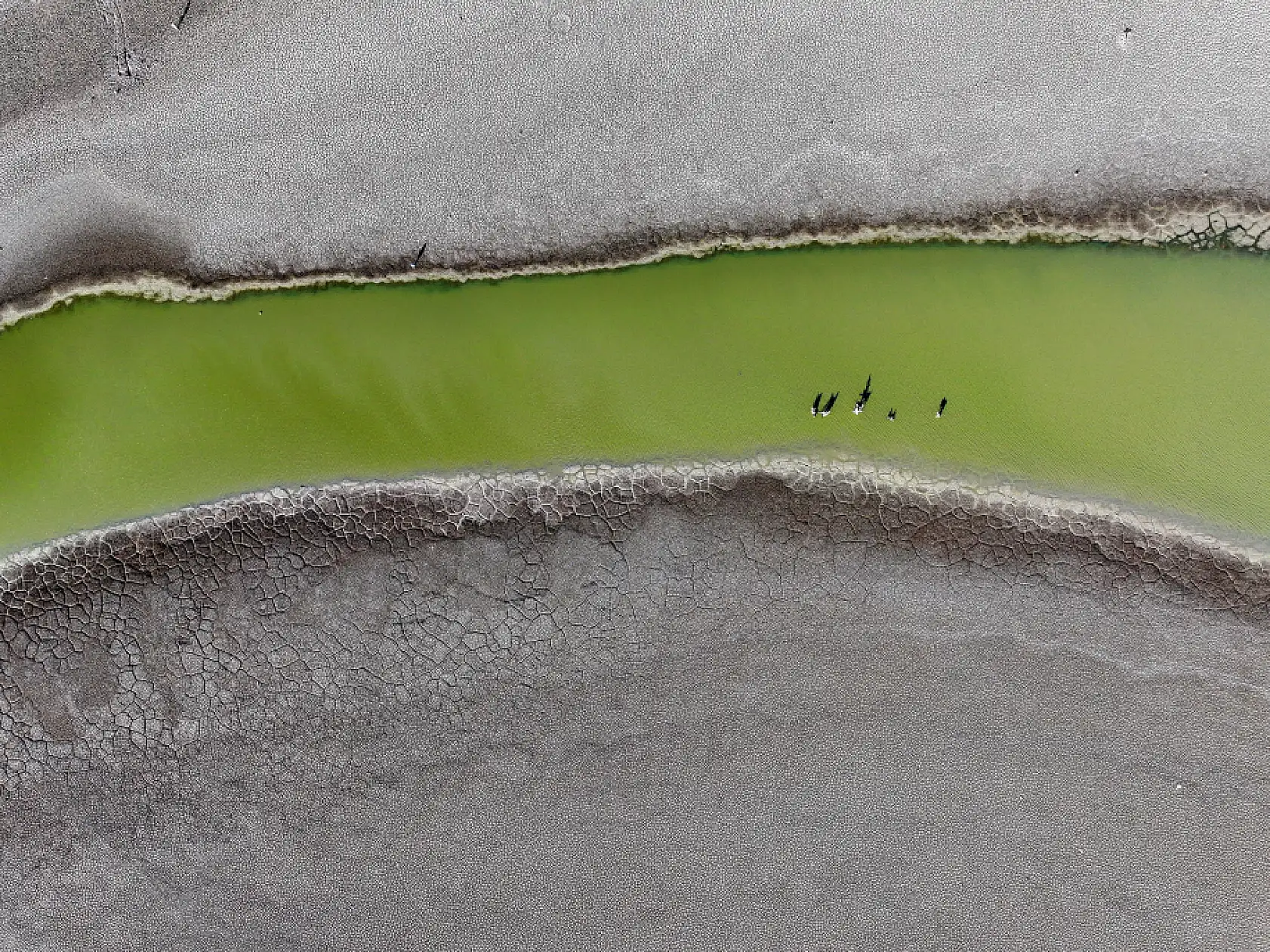 Konya'da su krizi derinleşiyor: Kuraklık baraj ve gölleri vurdu
