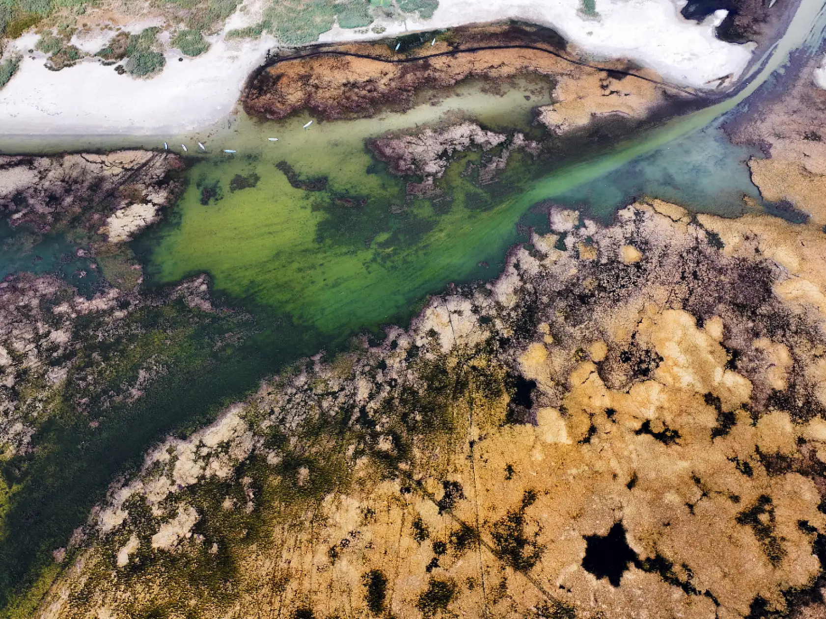 Konya'da su krizi derinleşiyor: Kuraklık baraj ve gölleri vurdu