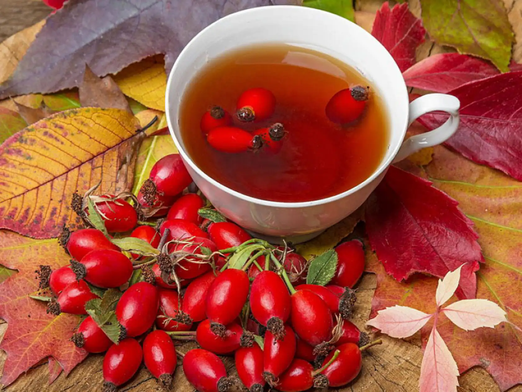 Kış mevsiminin şifa deposu