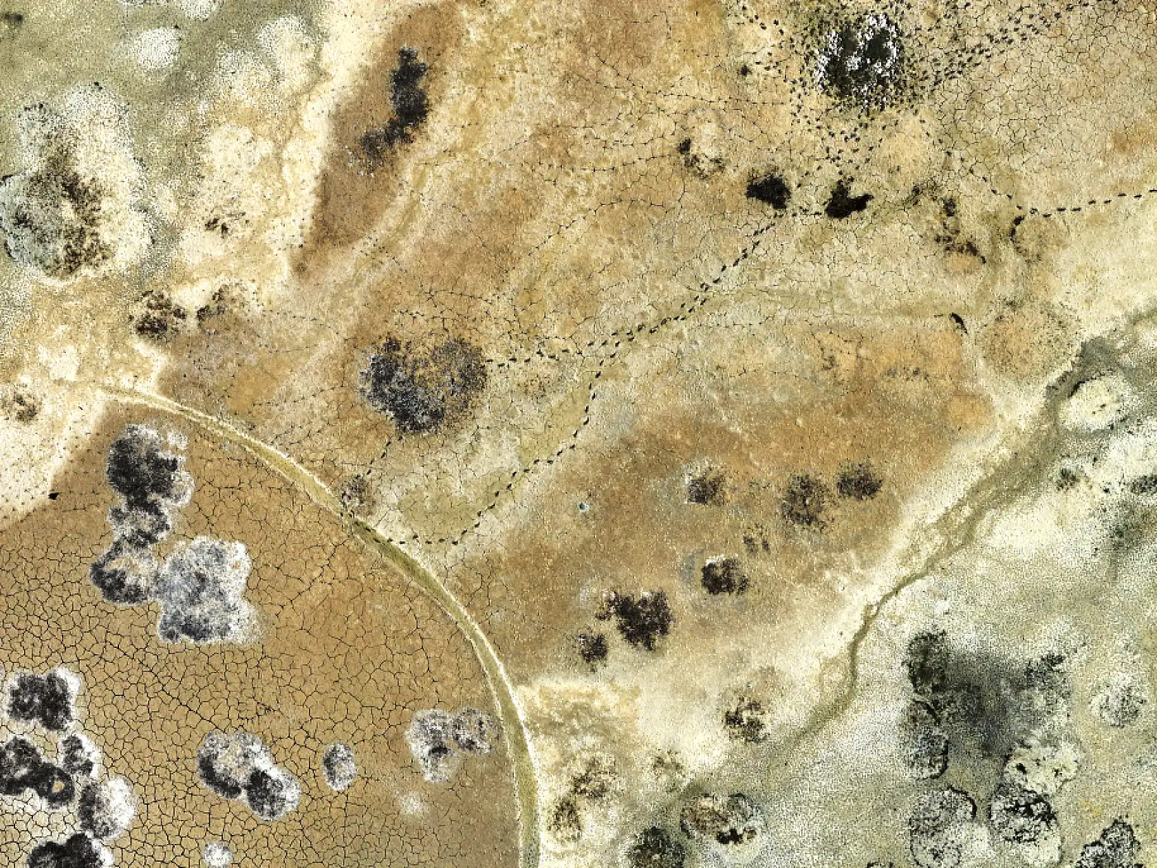 Konya'da su krizi derinleşiyor: Kuraklık baraj ve gölleri vurdu