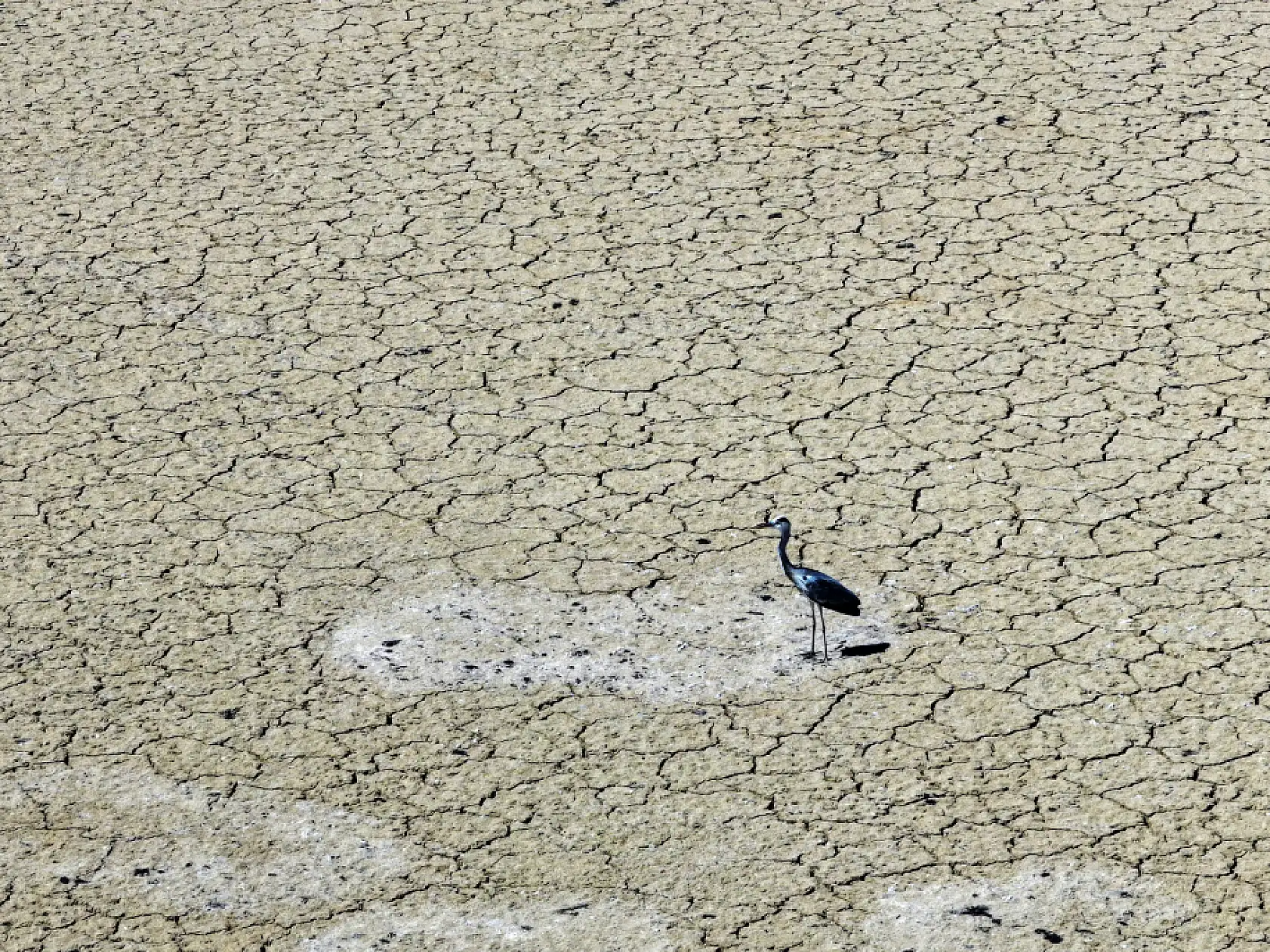 Konya'da su krizi derinleşiyor: Kuraklık baraj ve gölleri vurdu