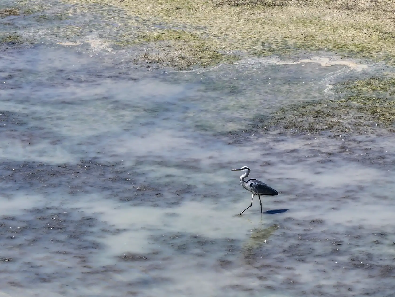 Konya'da su krizi derinleşiyor: Kuraklık baraj ve gölleri vurdu