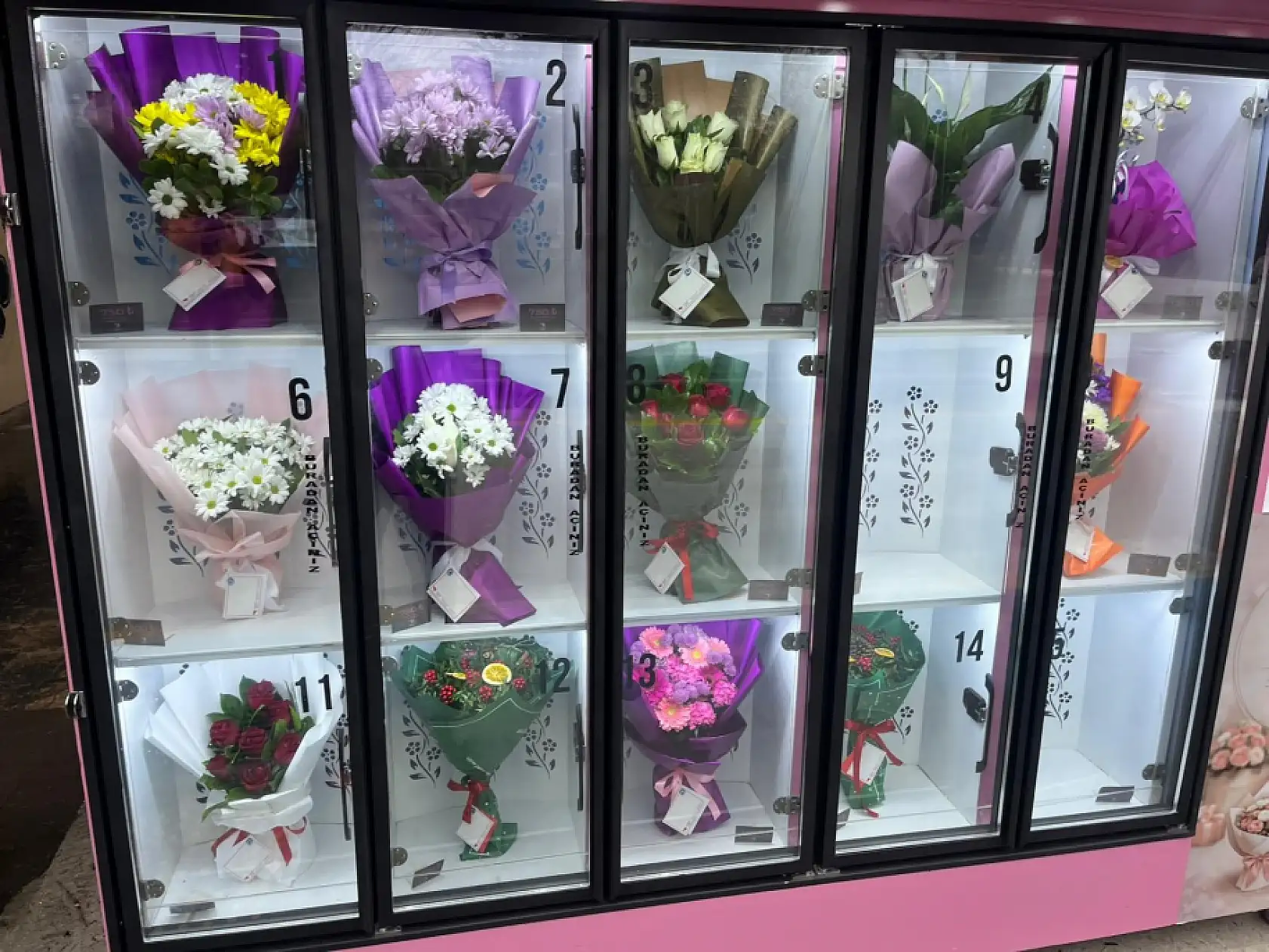 Kampüse yerleştirilen otomat çiçek veriyor: Gören dönüp bir daha bakıyor