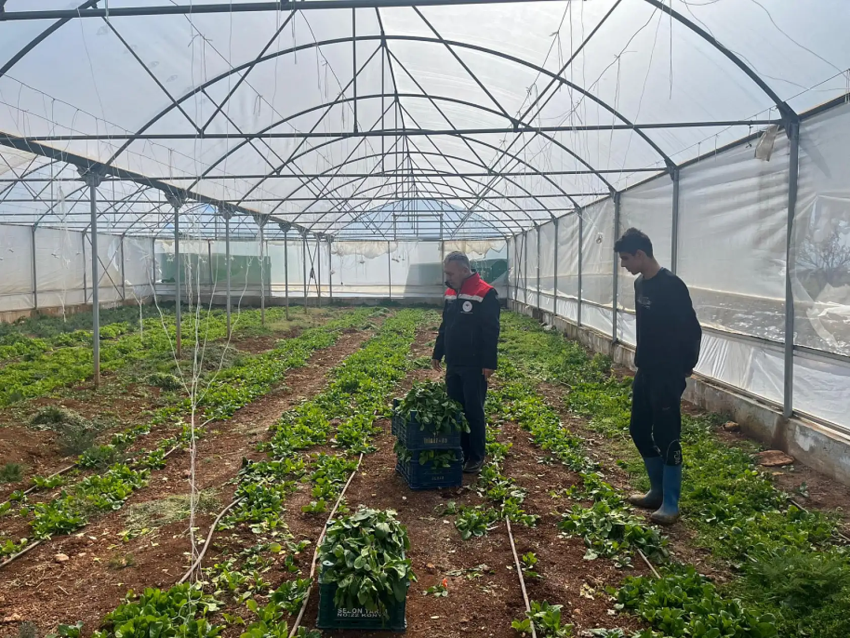 Konya tarımında sıfır risk hedefi: Üretim teknik takibe alındı