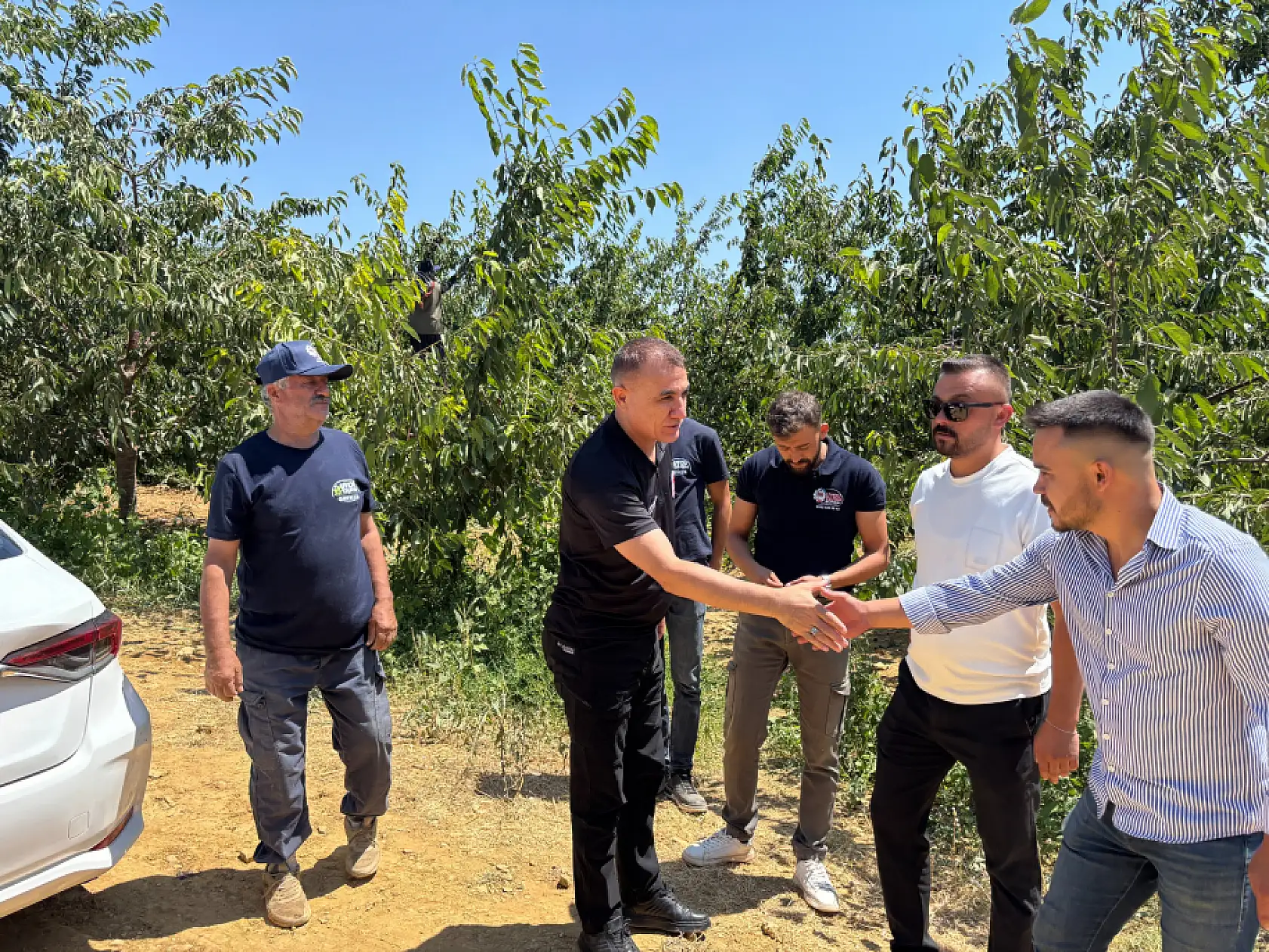 Kirazda son durak Konya!  Bin 900 metre rakımda hasat