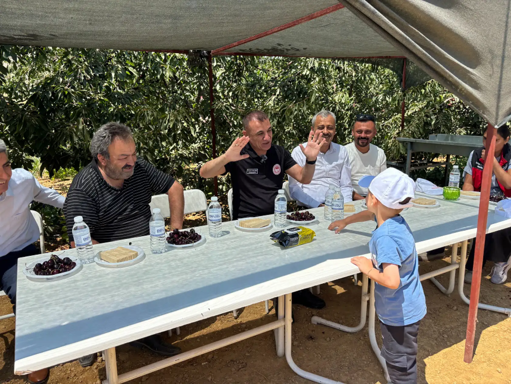 Kirazda son durak Konya!  Bin 900 metre rakımda hasat
