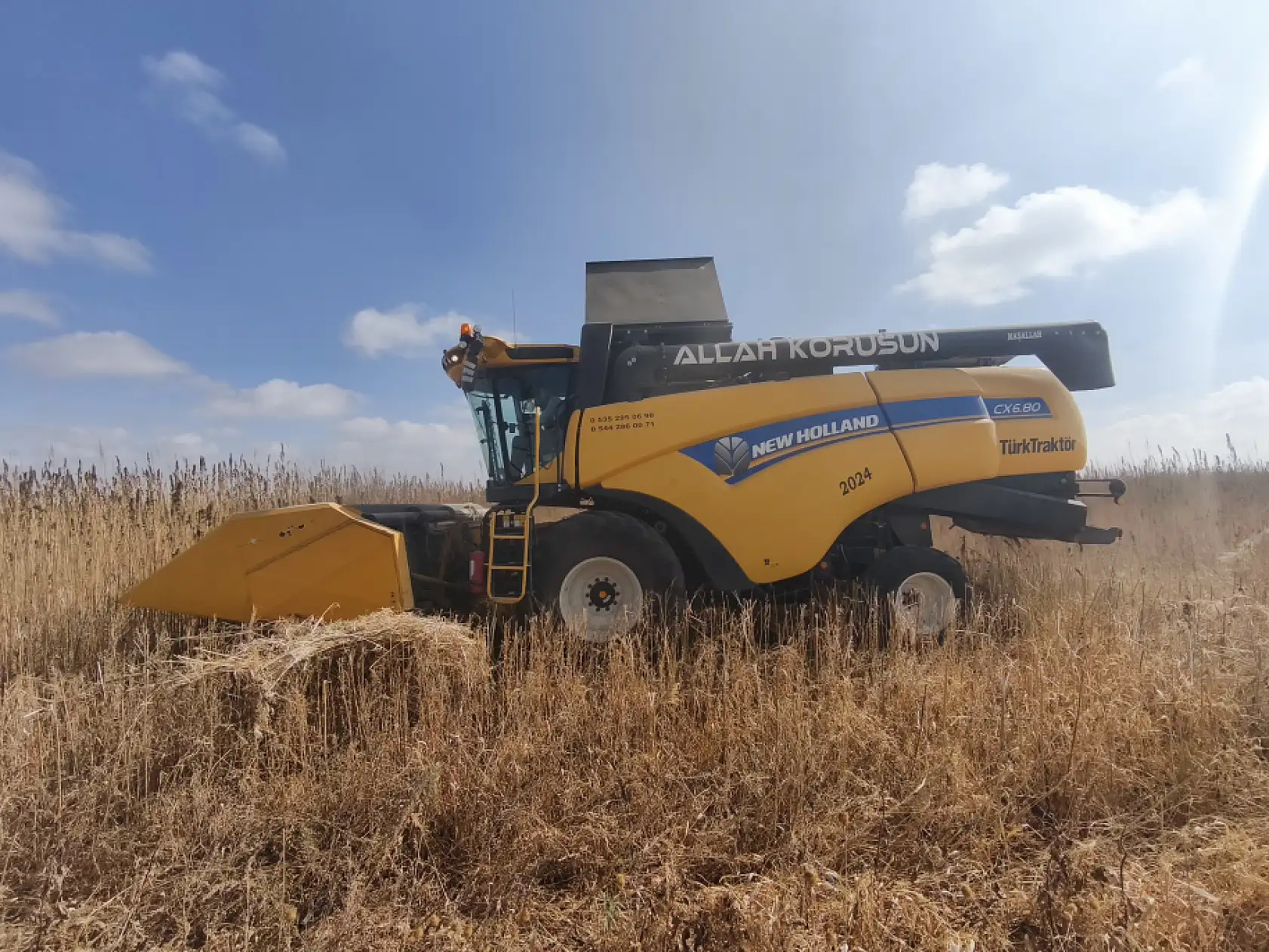 Fabrika yolda, üretim patlayacak! Konya kenevirle Türkiye'nin merkez üssü oluyor