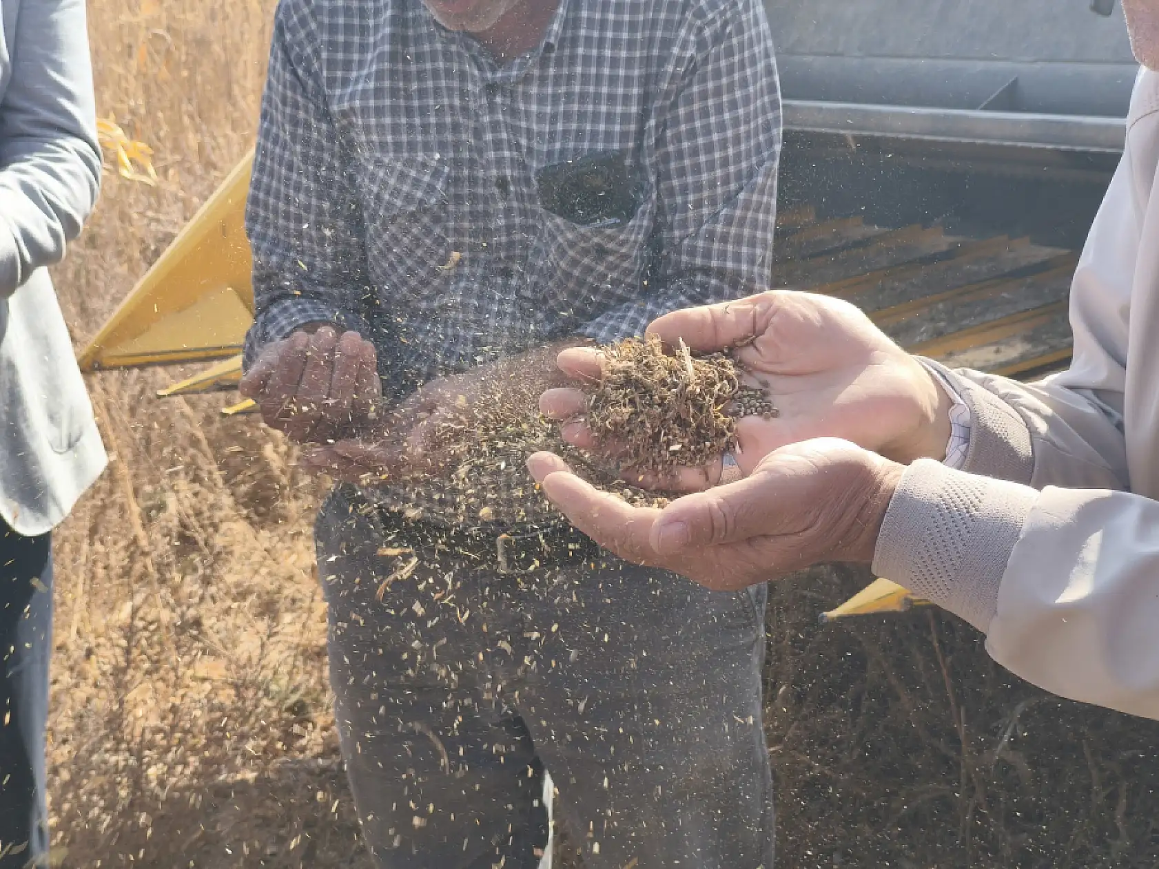 Fabrika yolda, üretim patlayacak! Konya kenevirle Türkiye'nin merkez üssü oluyor