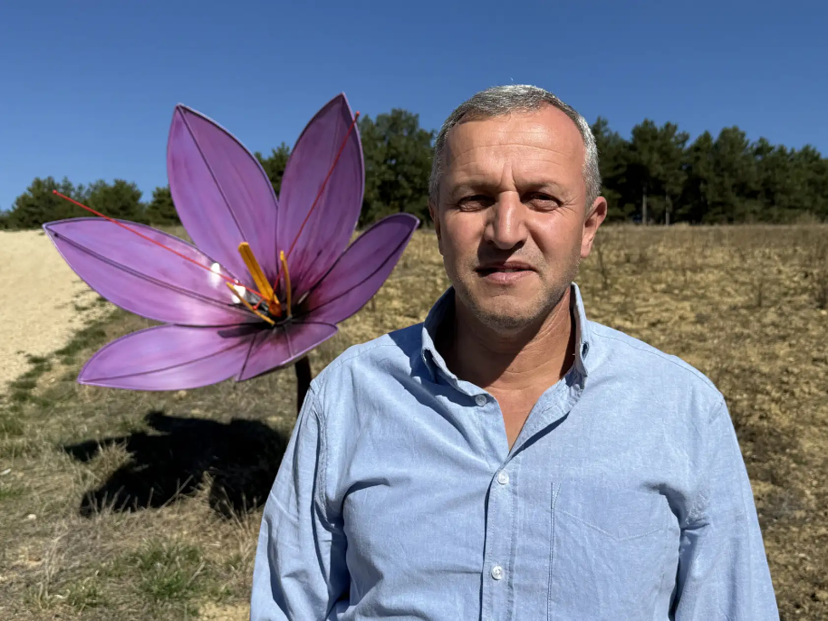 Ne altın ne mücevher! Tarladaki mor çiçeğin kilosu 800 bin TL