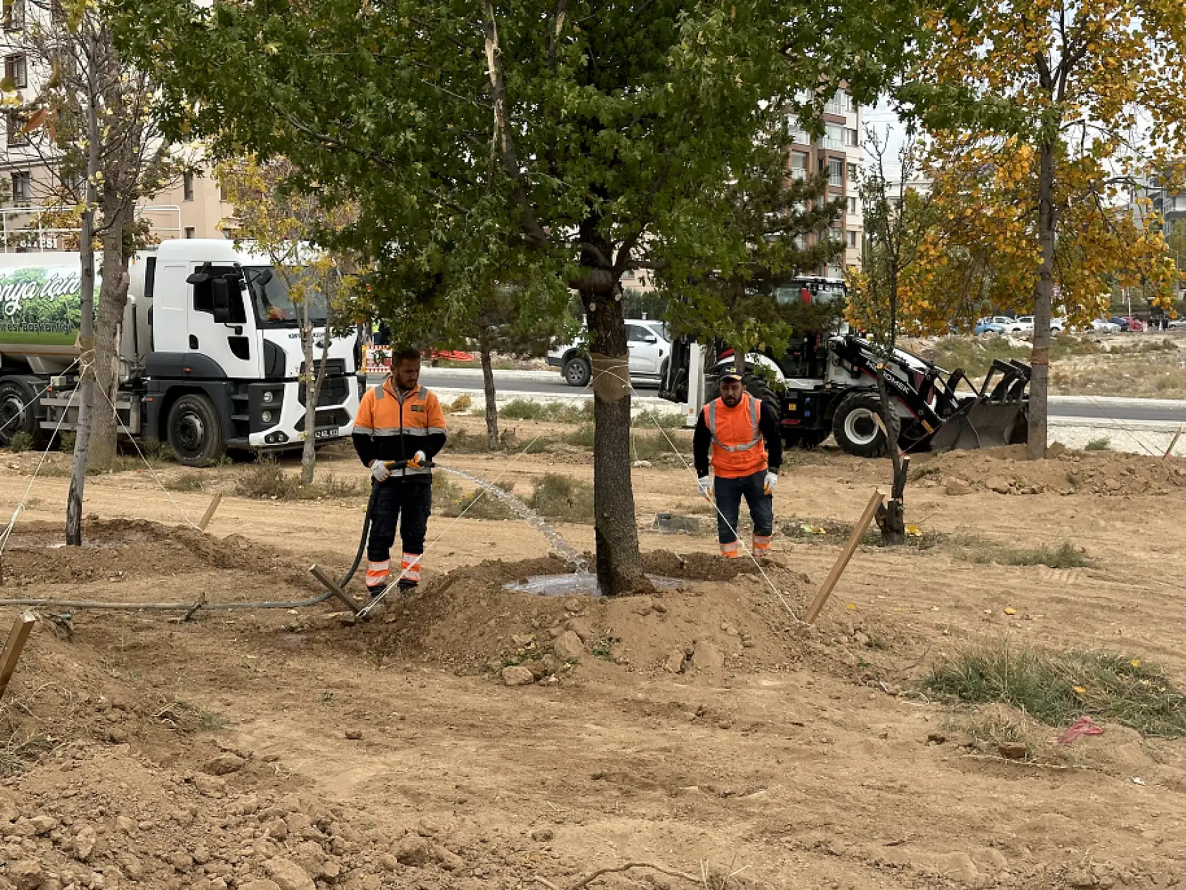 Konya'da dev proje için tek bir ağaca bile kıymadılar