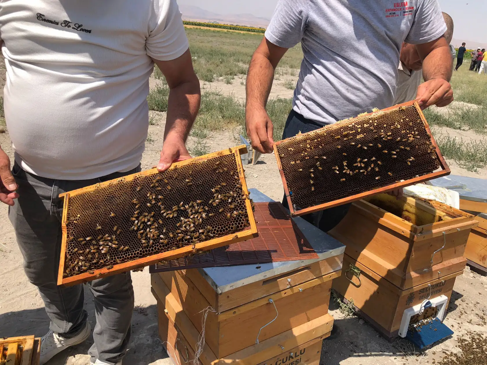 Yıllardır verdikleri emek, bir günde boşa gitti! Konya'da şaibeli ölüm! Üreticiler isyan etti…