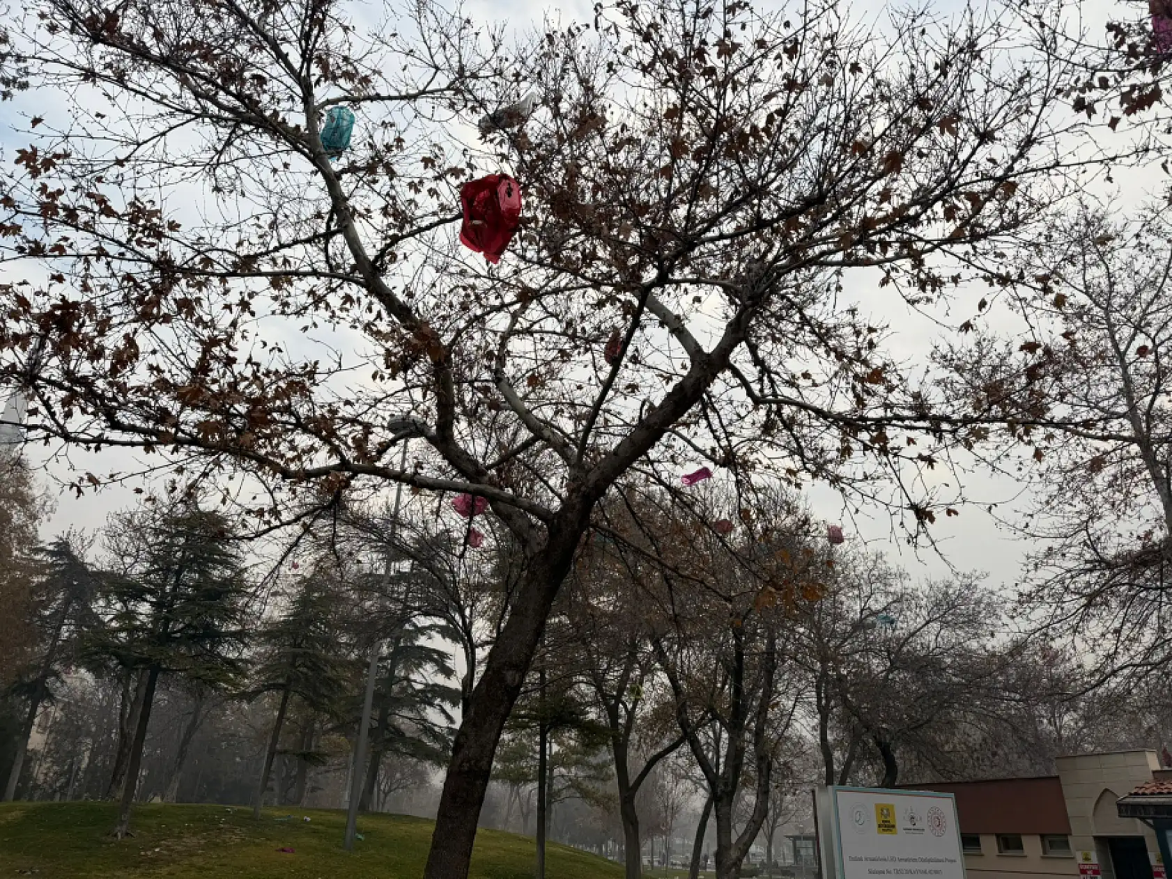Fenerler söndü Konya'nın gizli kahramanları sahaya indi