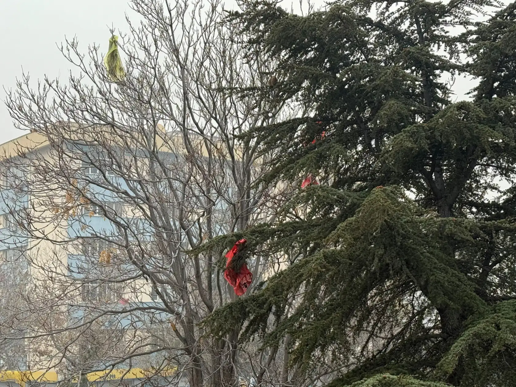 Fenerler söndü Konya'nın gizli kahramanları sahaya indi