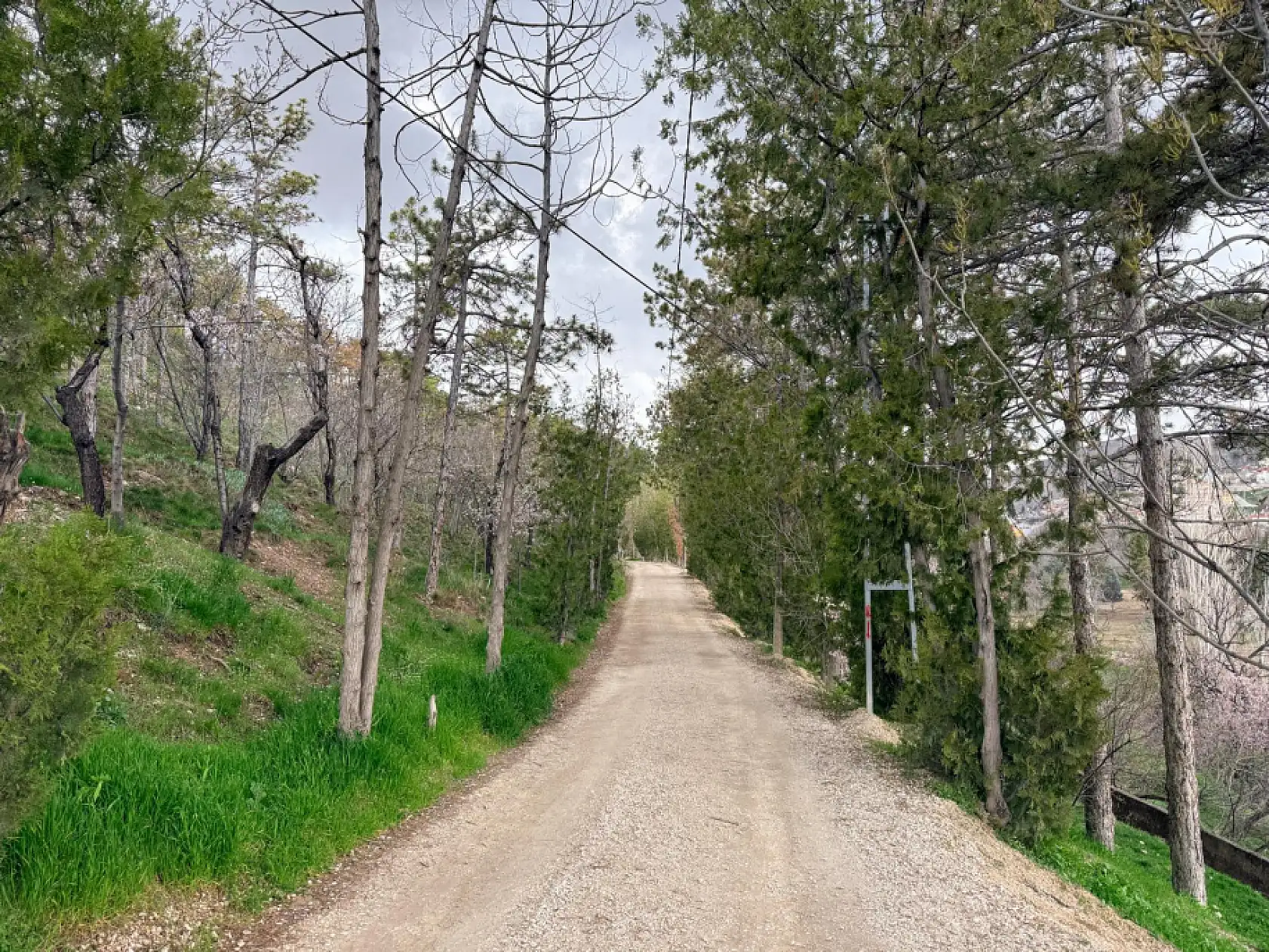 Konya'da duaların tuzla mühürlendiği makam: Niyetle gelenin boş dönmediği o kapı