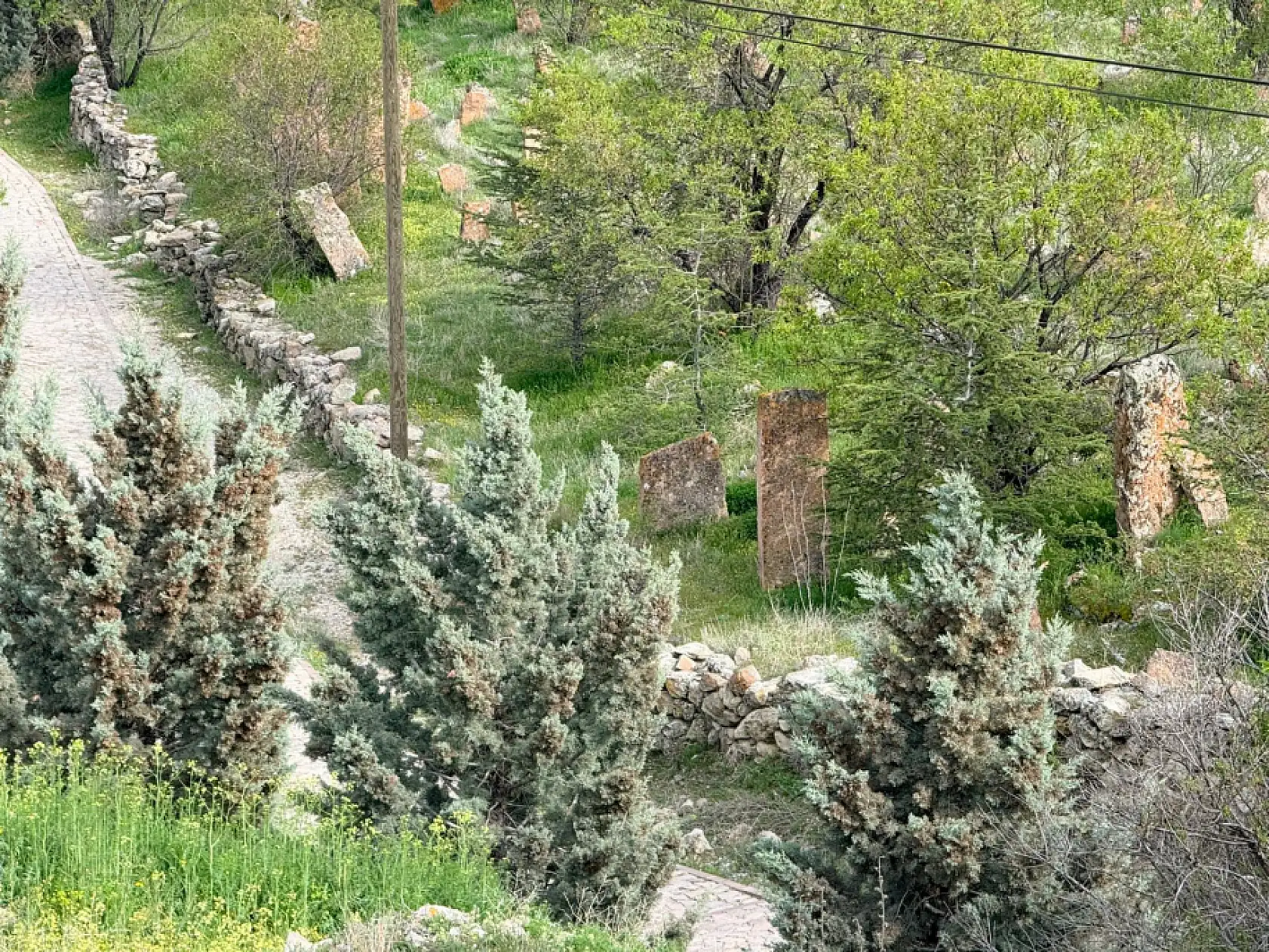 Konya'nın binlerce yıllık hafızası tehlikede! sessizce yok oluyorlar