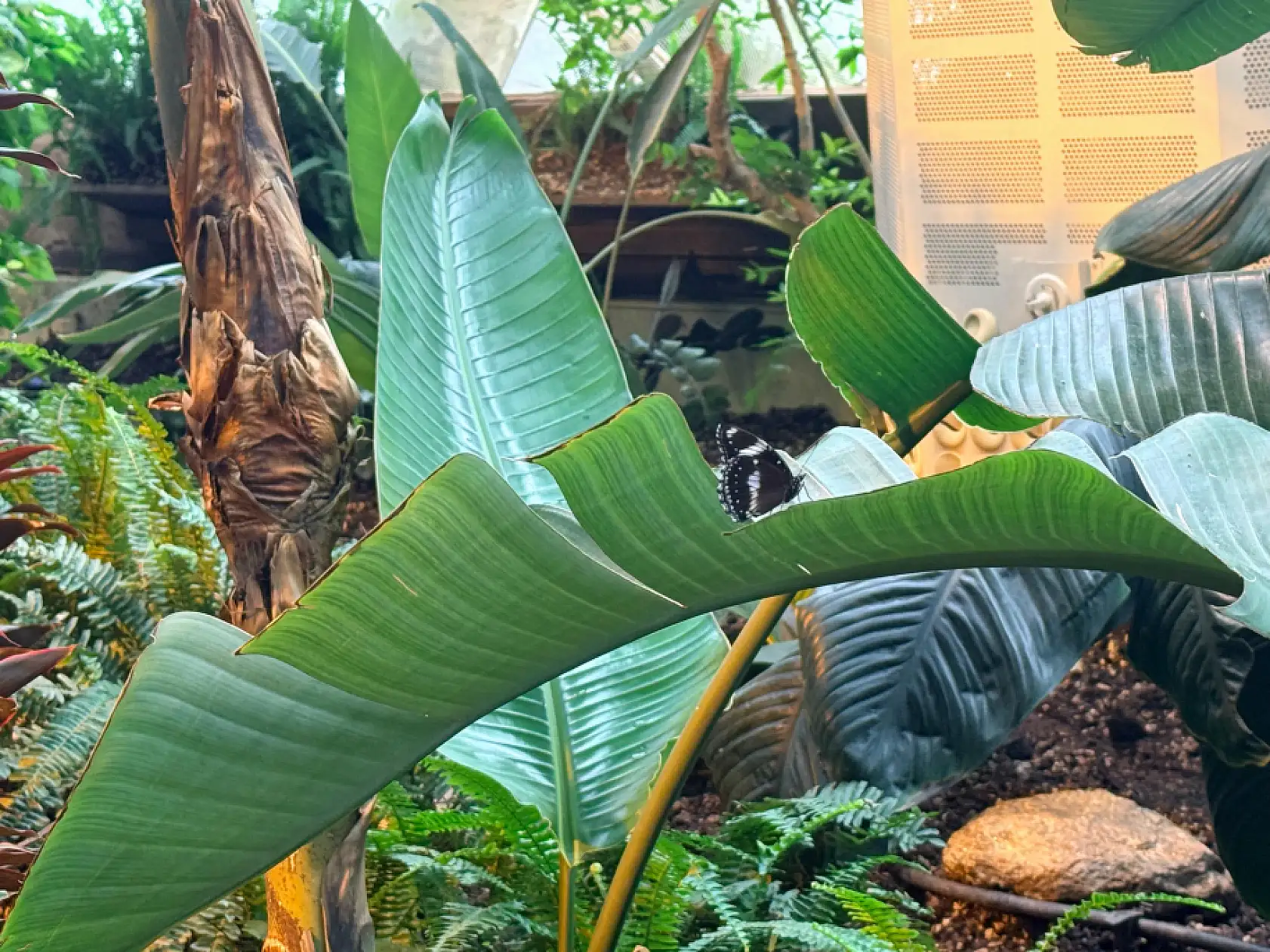 Konya'da saklı cennet: Buraya giren çıkmak istemiyor!