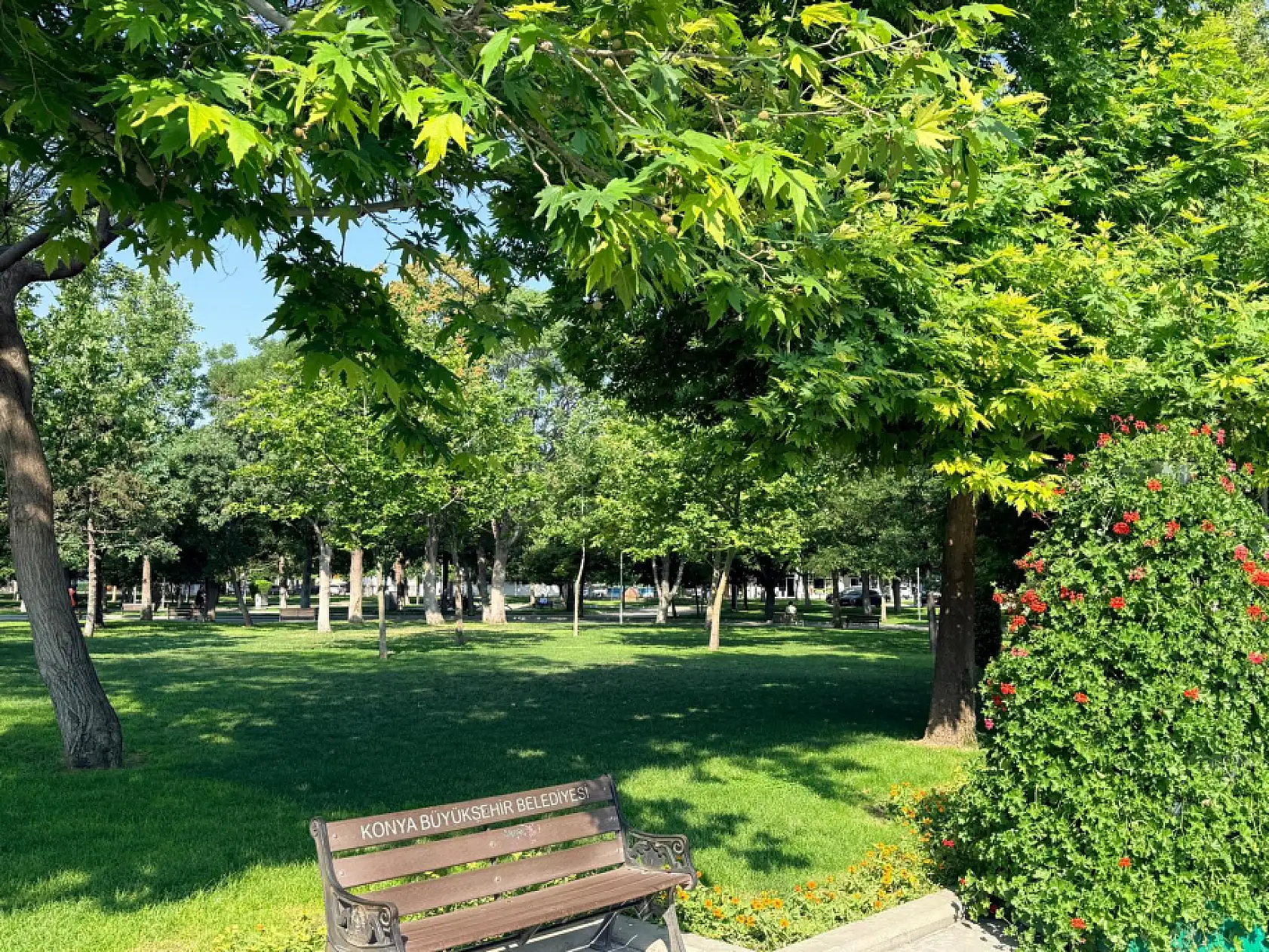Konya'da hava tersine dönüyor! İşte 5 günlük meteorolojik tahmin