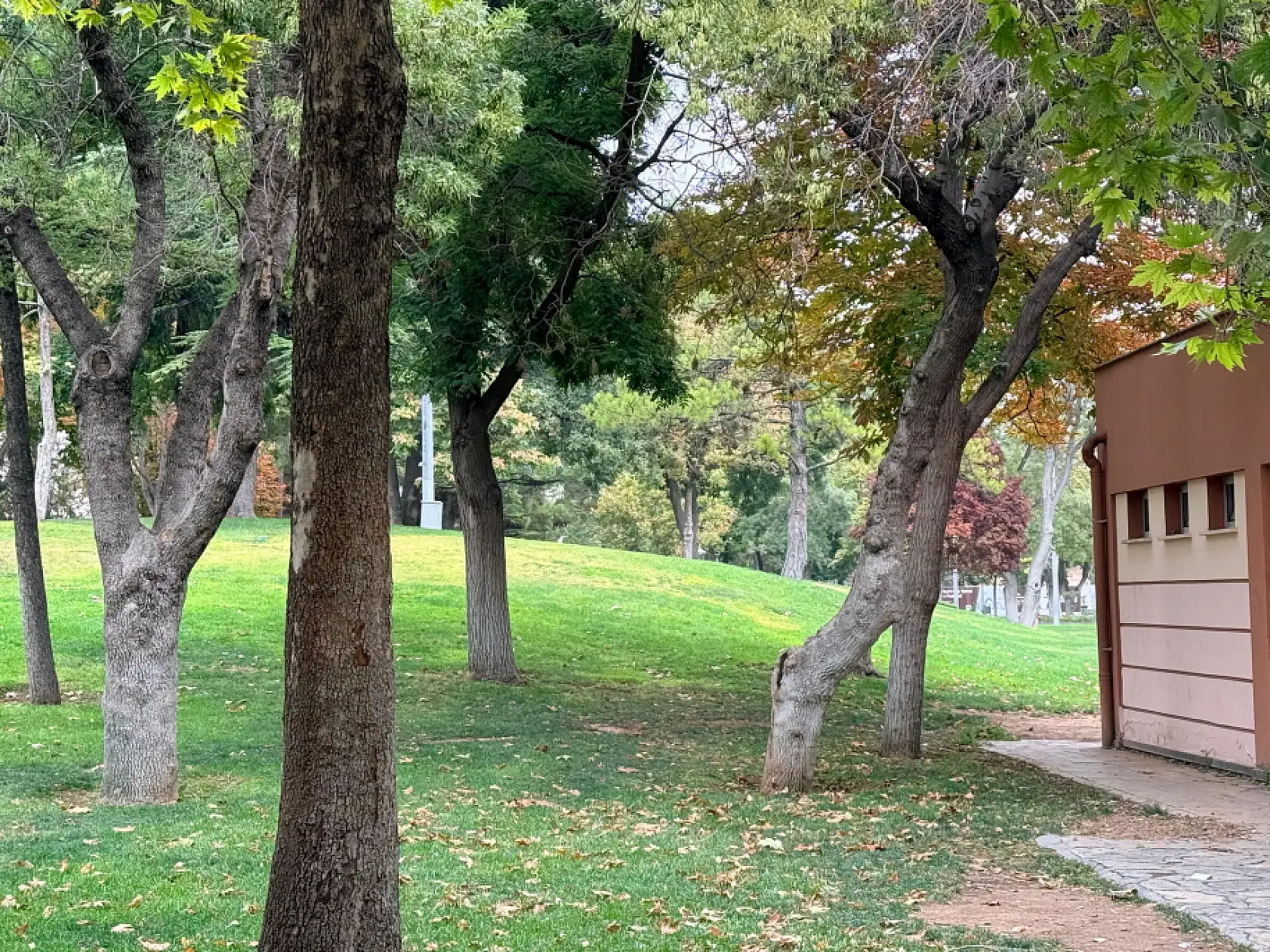 Konya renklerini değiştirdi! Yeşil sarıya dönüyor