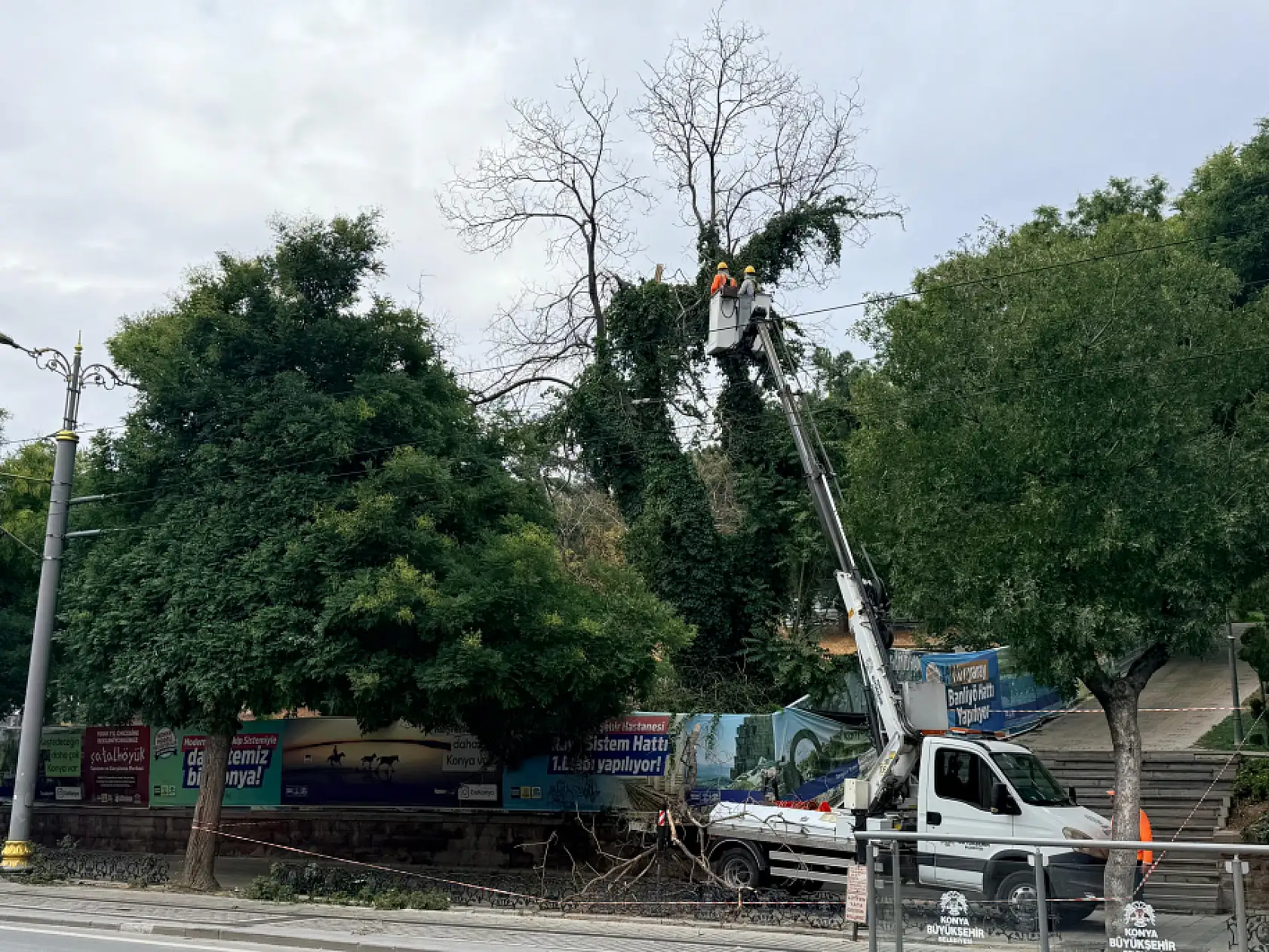 Konya renklerini değiştirdi! Yeşil sarıya dönüyor