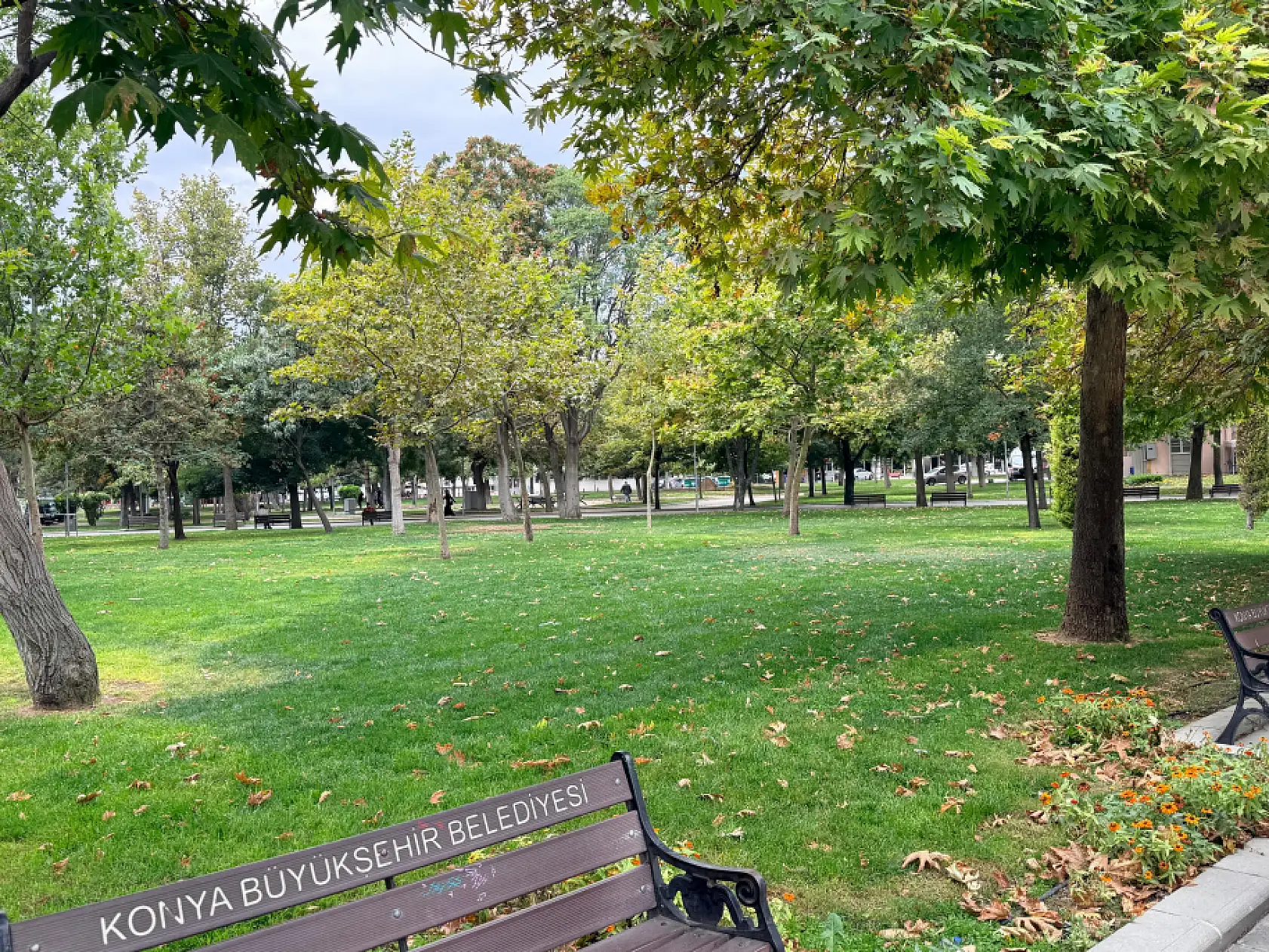 Konya renklerini değiştirdi! Yeşil sarıya dönüyor
