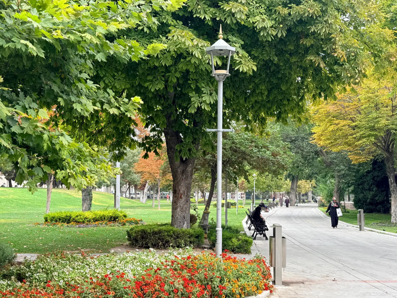 Konya renklerini değiştirdi! Yeşil sarıya dönüyor