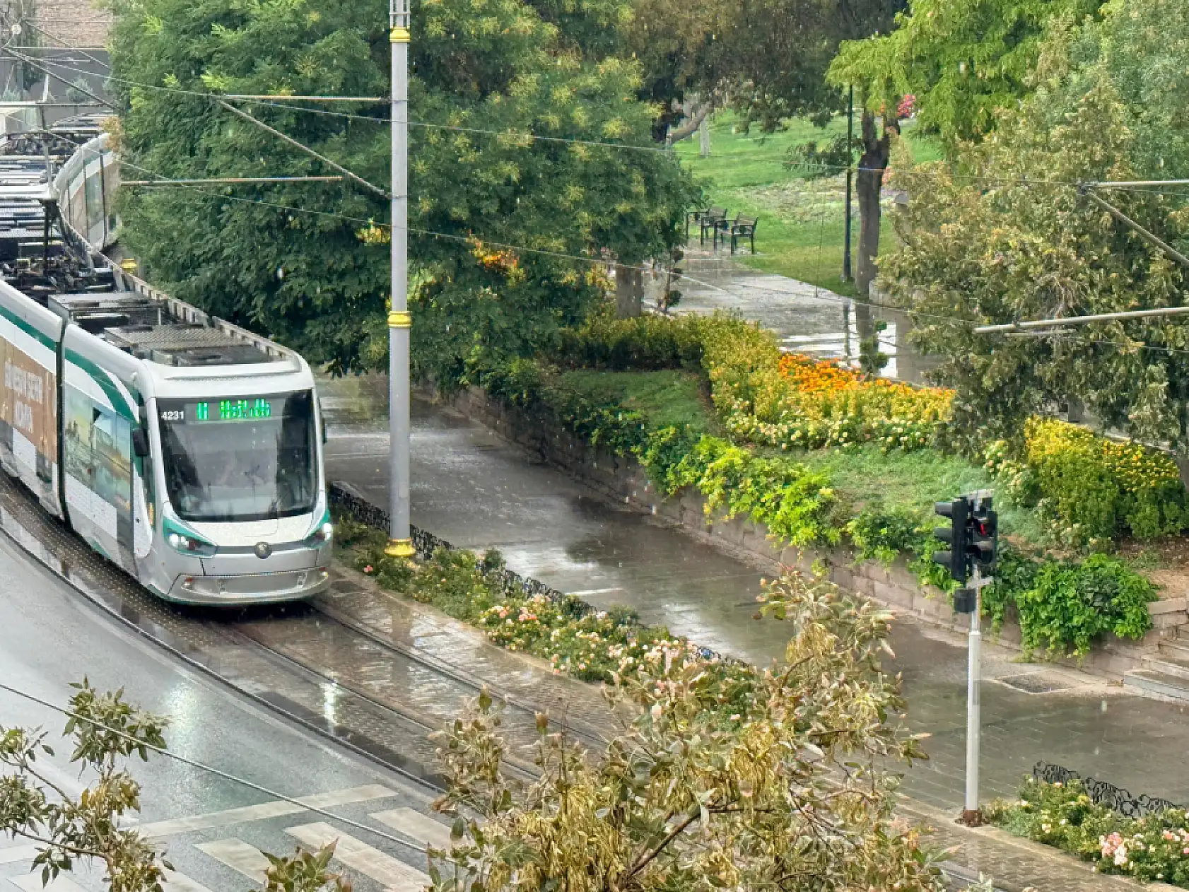 Konya renklerini değiştirdi! Yeşil sarıya dönüyor