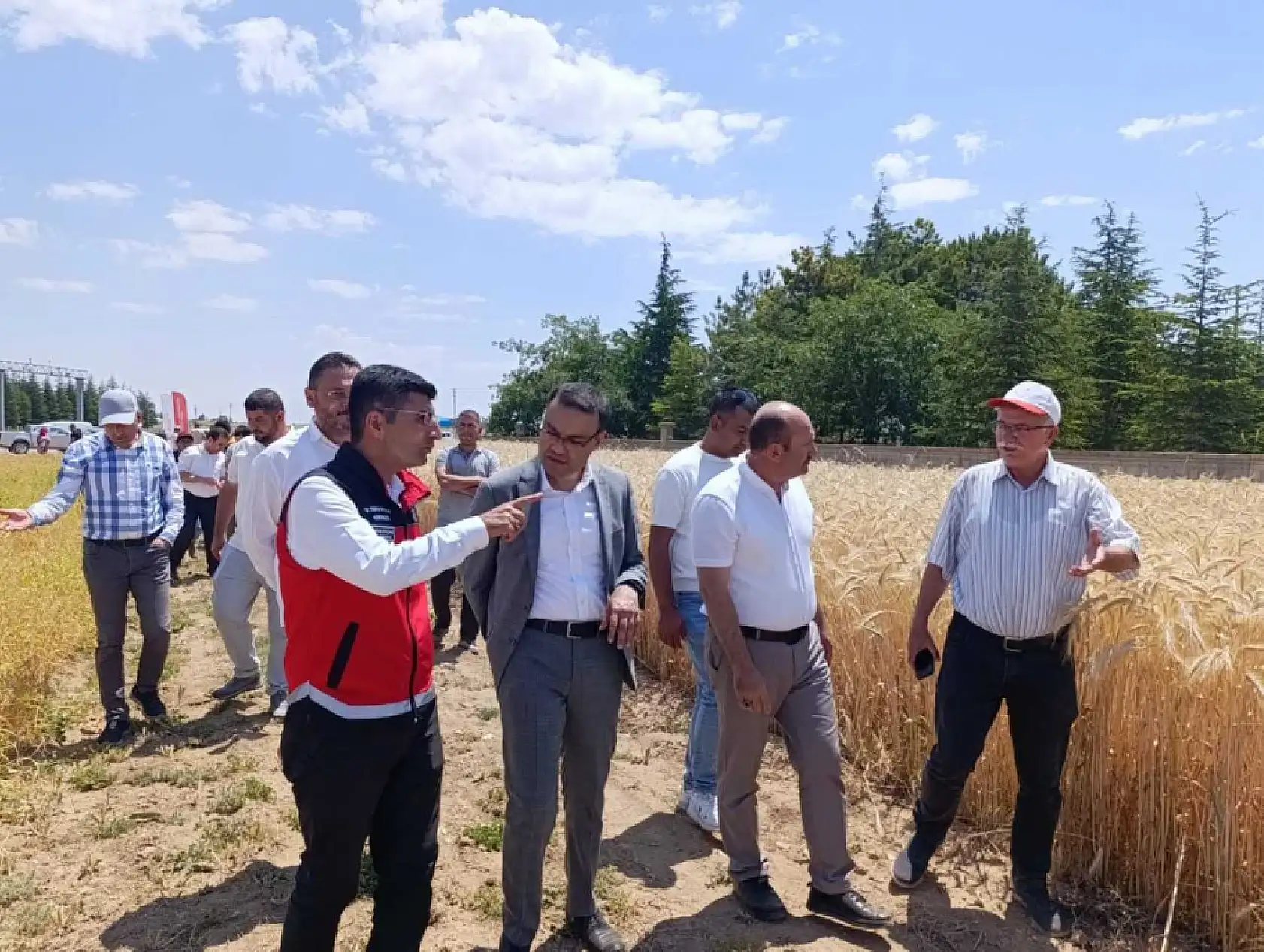 Konya'da yıllardır boş duruyordu: Atıl araziler için ezber bozan karar!