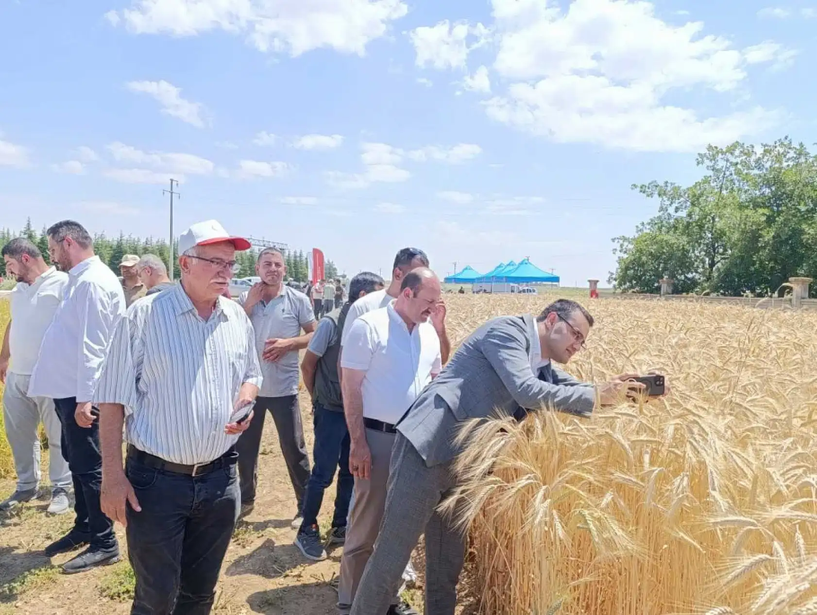 Konya'da yıllardır boş duruyordu: Atıl araziler için ezber bozan karar!