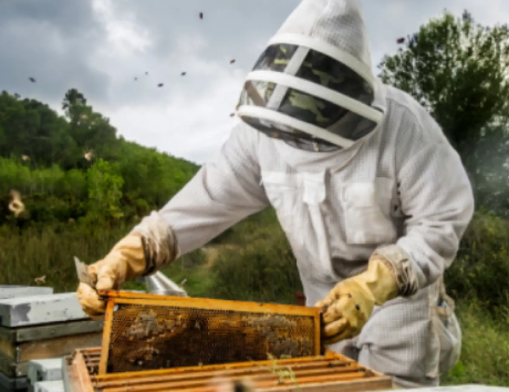 Konya'da üreticilere yönelik destek başladı: Son başvuru tarihi 13 Ekim!