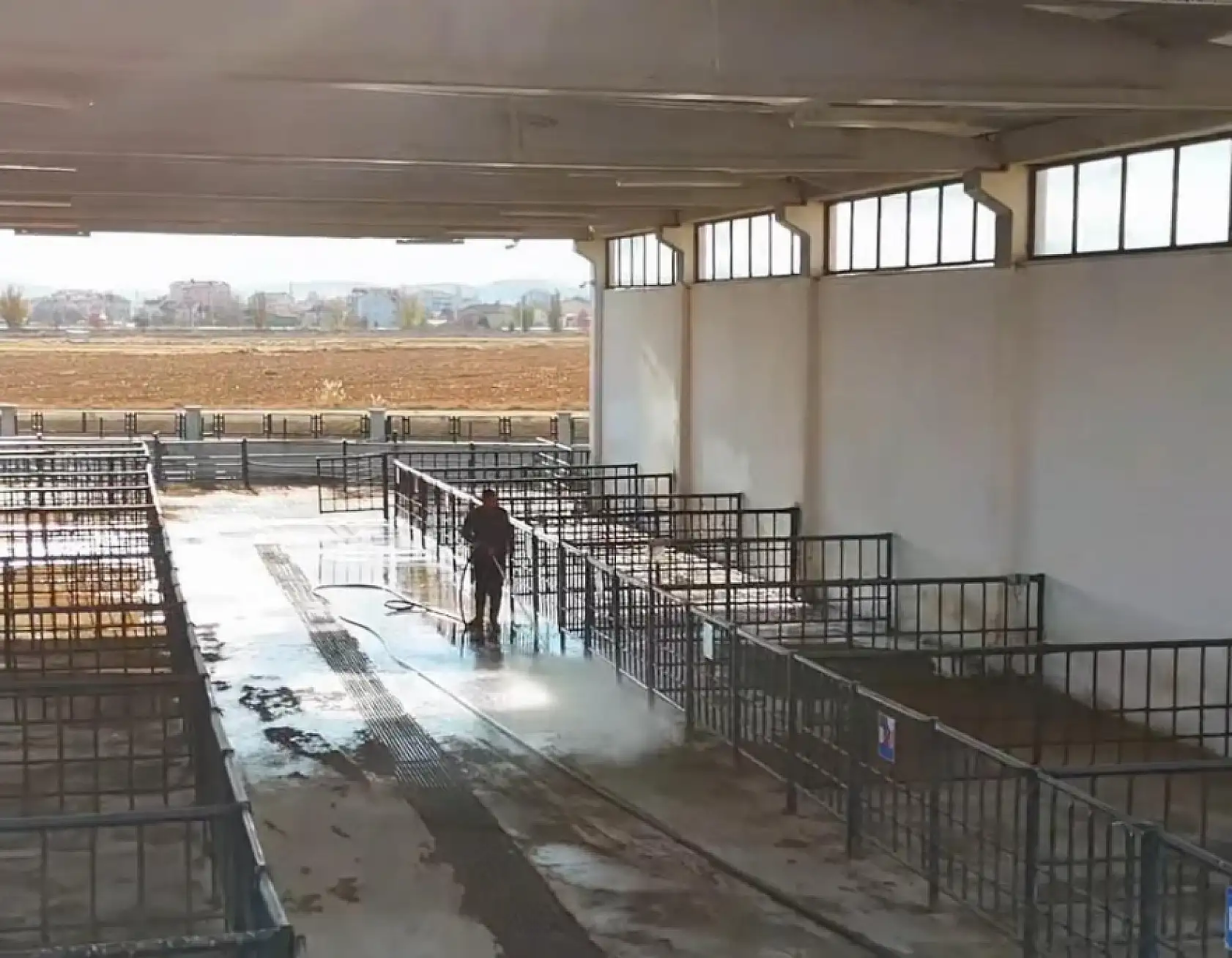 Konya üreticisine müjde: Hayvan pazarı yeniden hizmete açılıyor