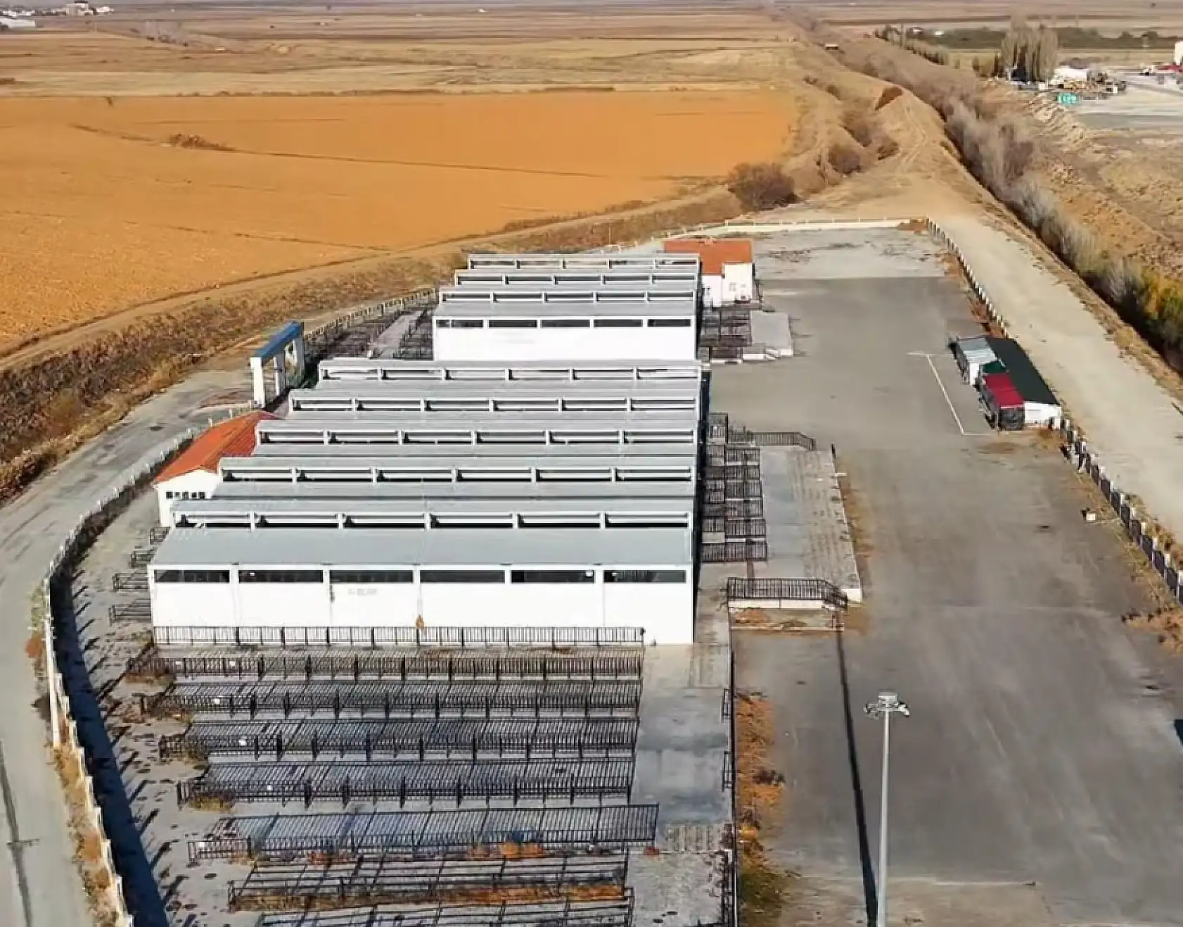 Konya üreticisine müjde: Hayvan pazarı yeniden hizmete açılıyor