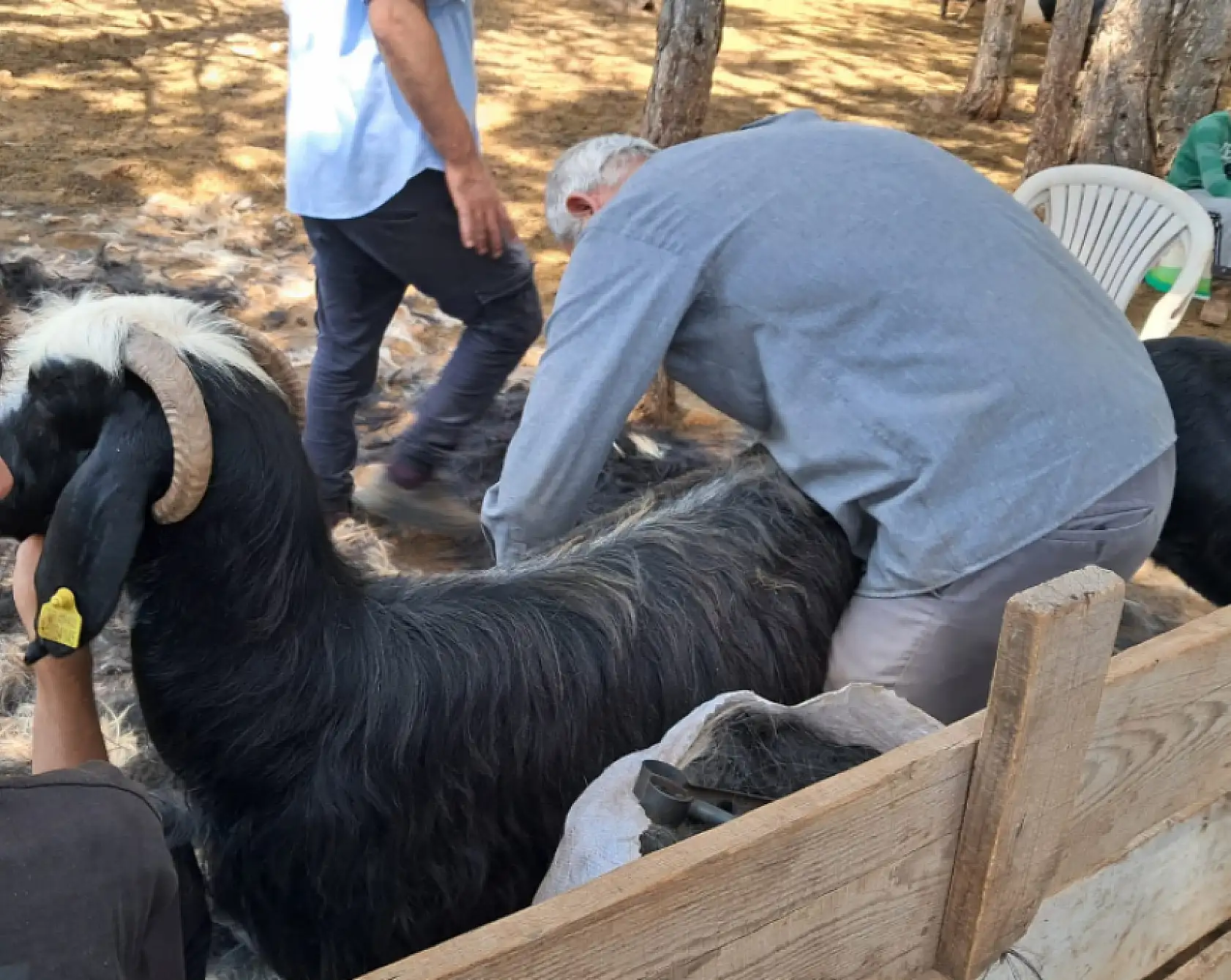 Konya'da yüz yıllık gelenek yaşatılıyor: 'Neredeyse bitme noktasına geldi'