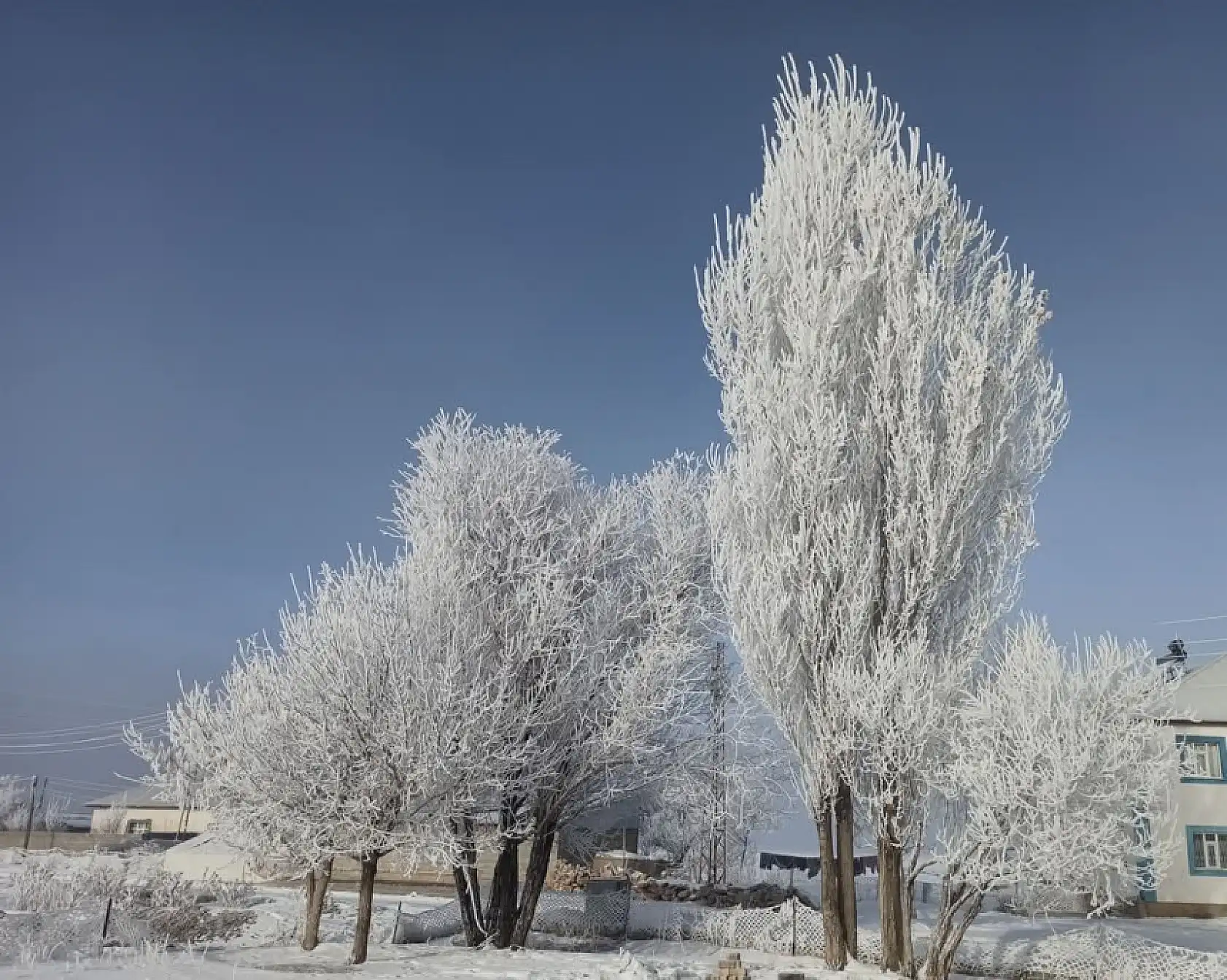 Soğuk hava hayatı felç etti.