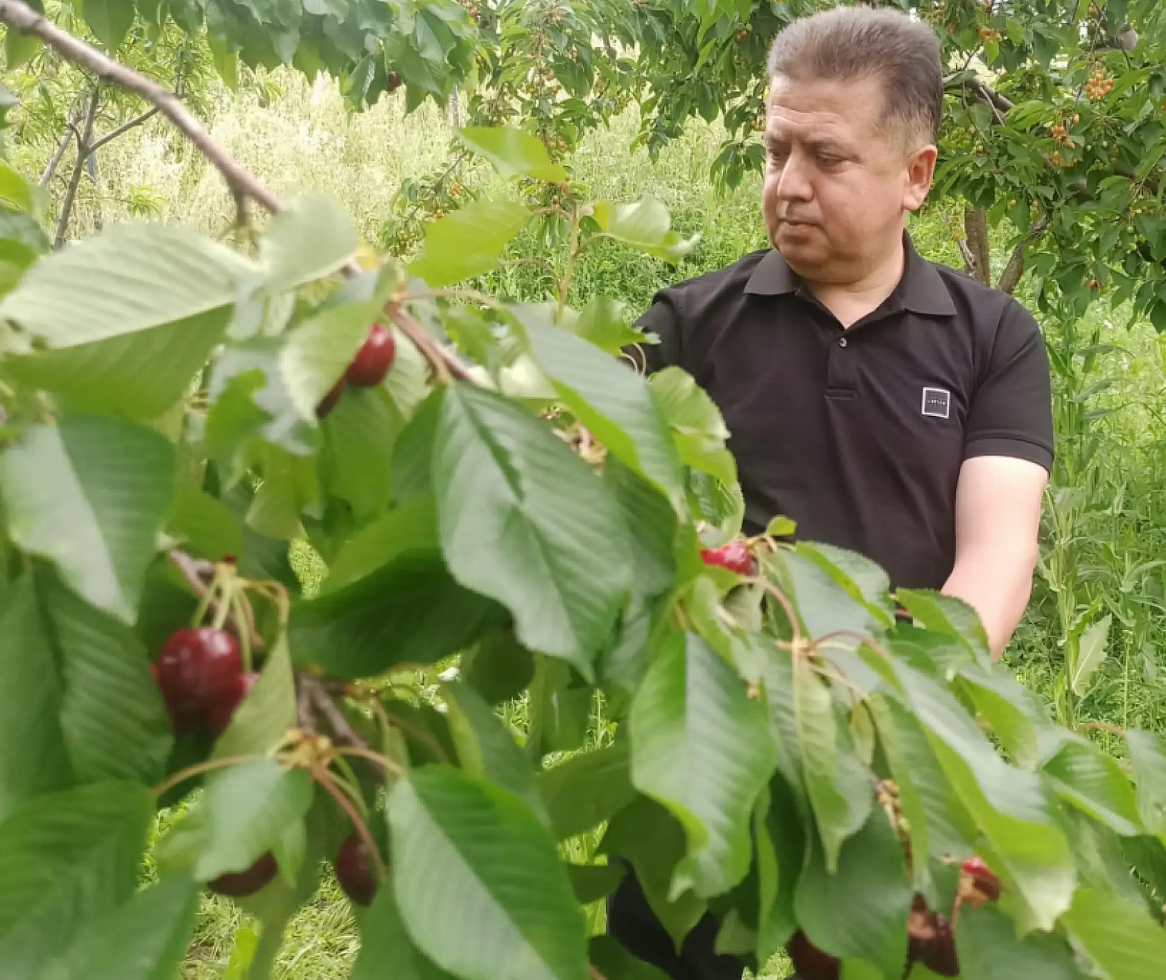 Konyalı yetiştirdi Avrupalı hayran kaldı