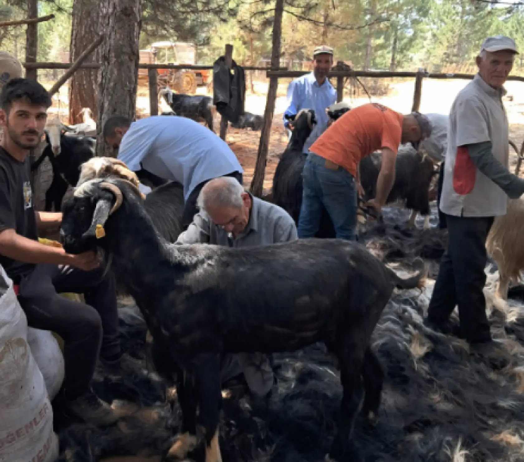 Konya'da yüz yıllık gelenek yaşatılıyor: 'Neredeyse bitme noktasına geldi'