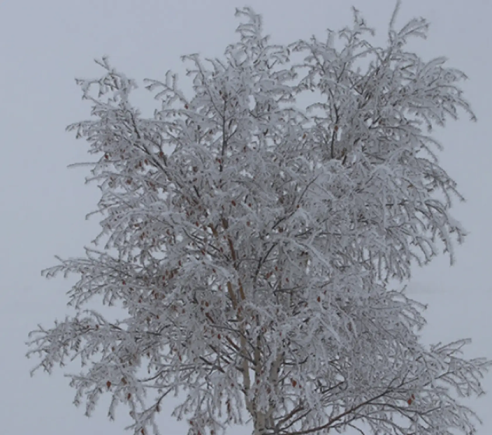 Doğu'da soğuk hava etkili oluyor!