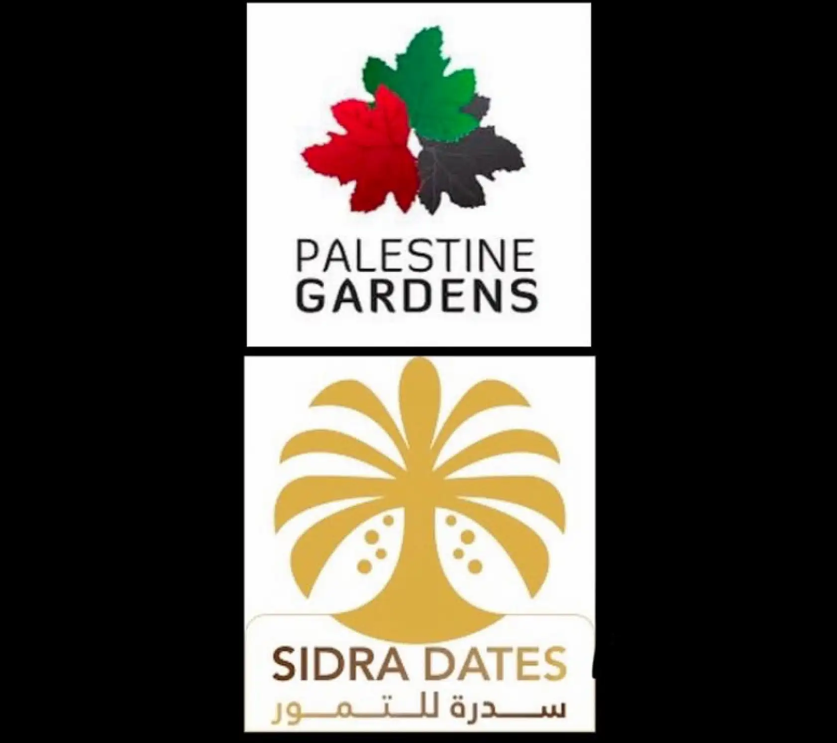 İsrail üretimi hurma markalarını boykot ediyorsanız, işte alternatif hurma markaları!