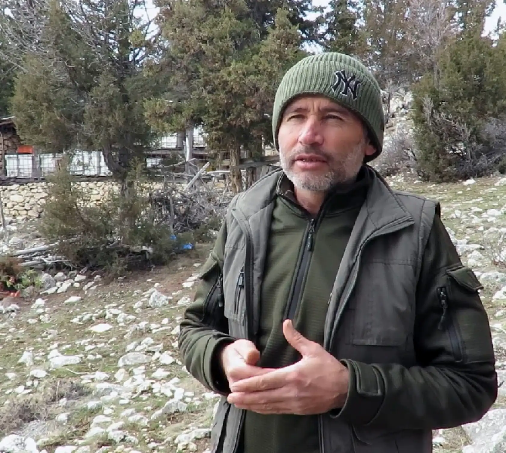 Konya'da ayı istilası! Atalık hanaylara giren ayı, kara kovan balını talan etti