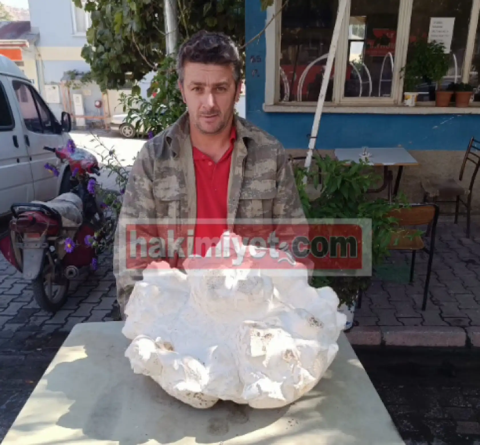 Böylesi ne görüldü ne duyuldu:  Konya'da 20 kiloluk dev mantar bulundu!