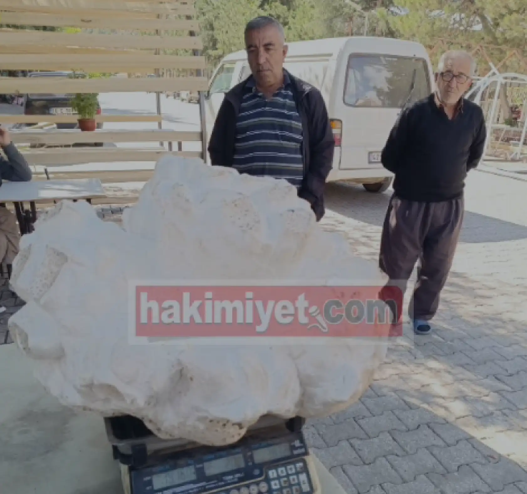 Böylesi ne görüldü ne duyuldu:  Konya'da 20 kiloluk dev mantar bulundu!