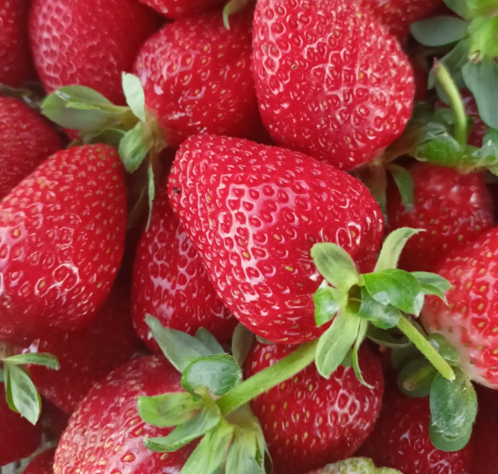 Konya'da bir lezzet daha resmen tescillendi