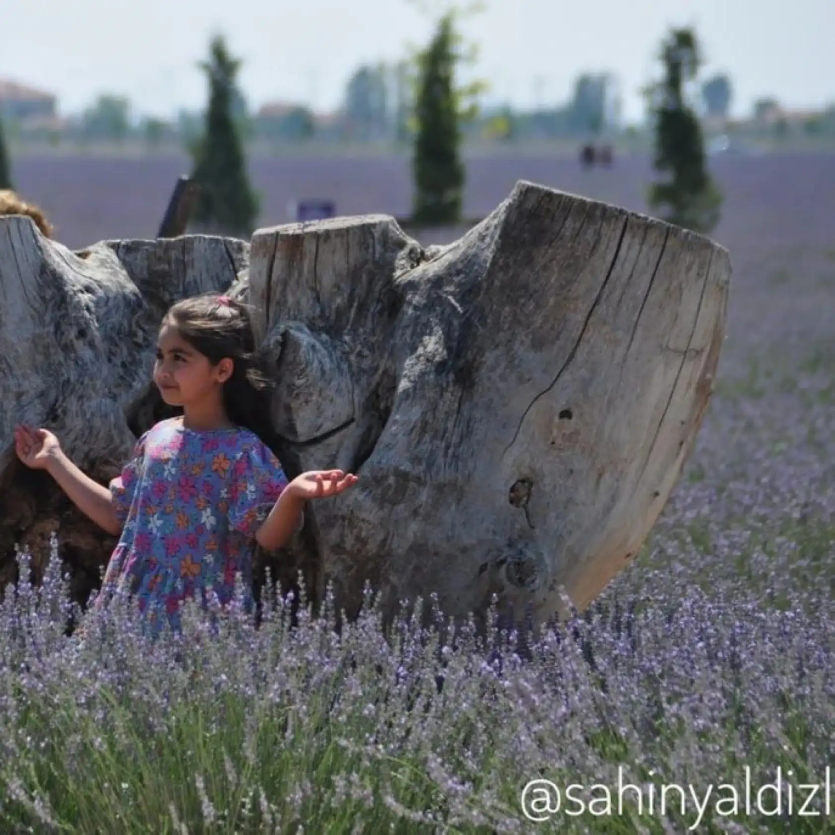 Her fotoğrafın bir hikayeyi anlatır: Dünya Fotoğrafçılık Günü'ne özel fotoğraflar!