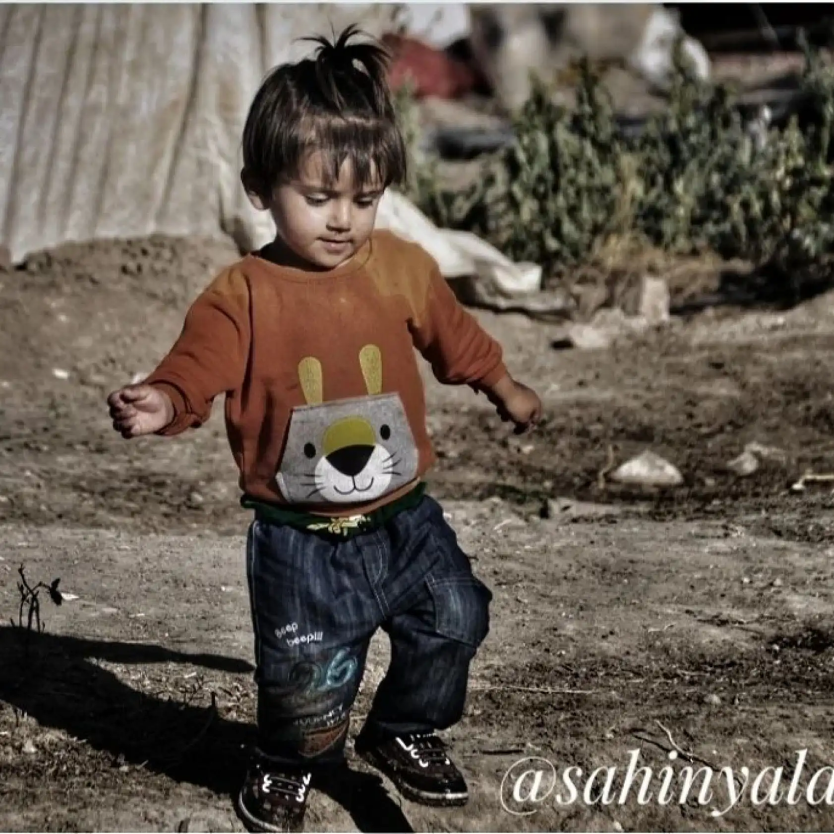 Her fotoğrafın bir hikayeyi anlatır: Dünya Fotoğrafçılık Günü'ne özel fotoğraflar!