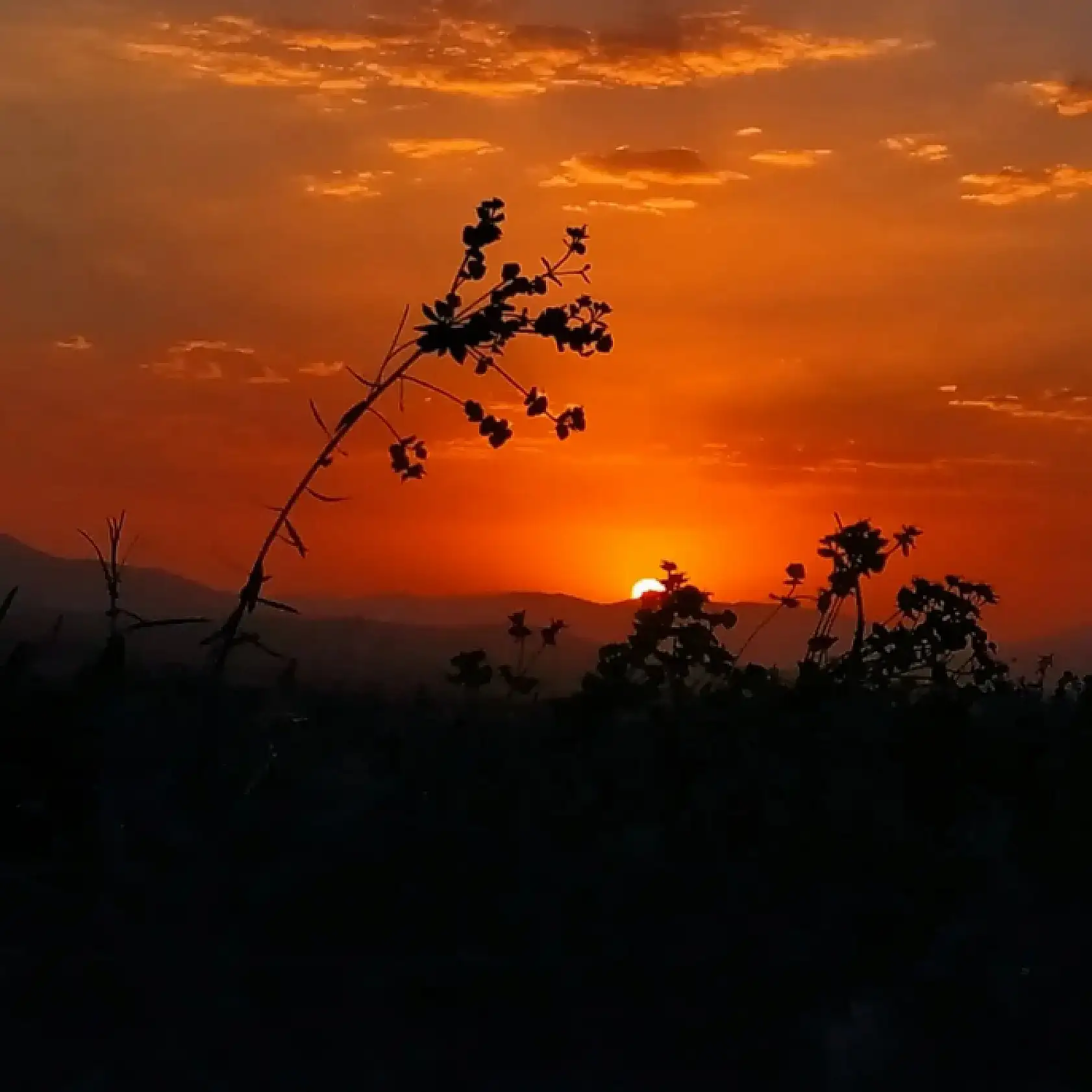 Her fotoğrafın bir hikayeyi anlatır: Dünya Fotoğrafçılık Günü'ne özel fotoğraflar!