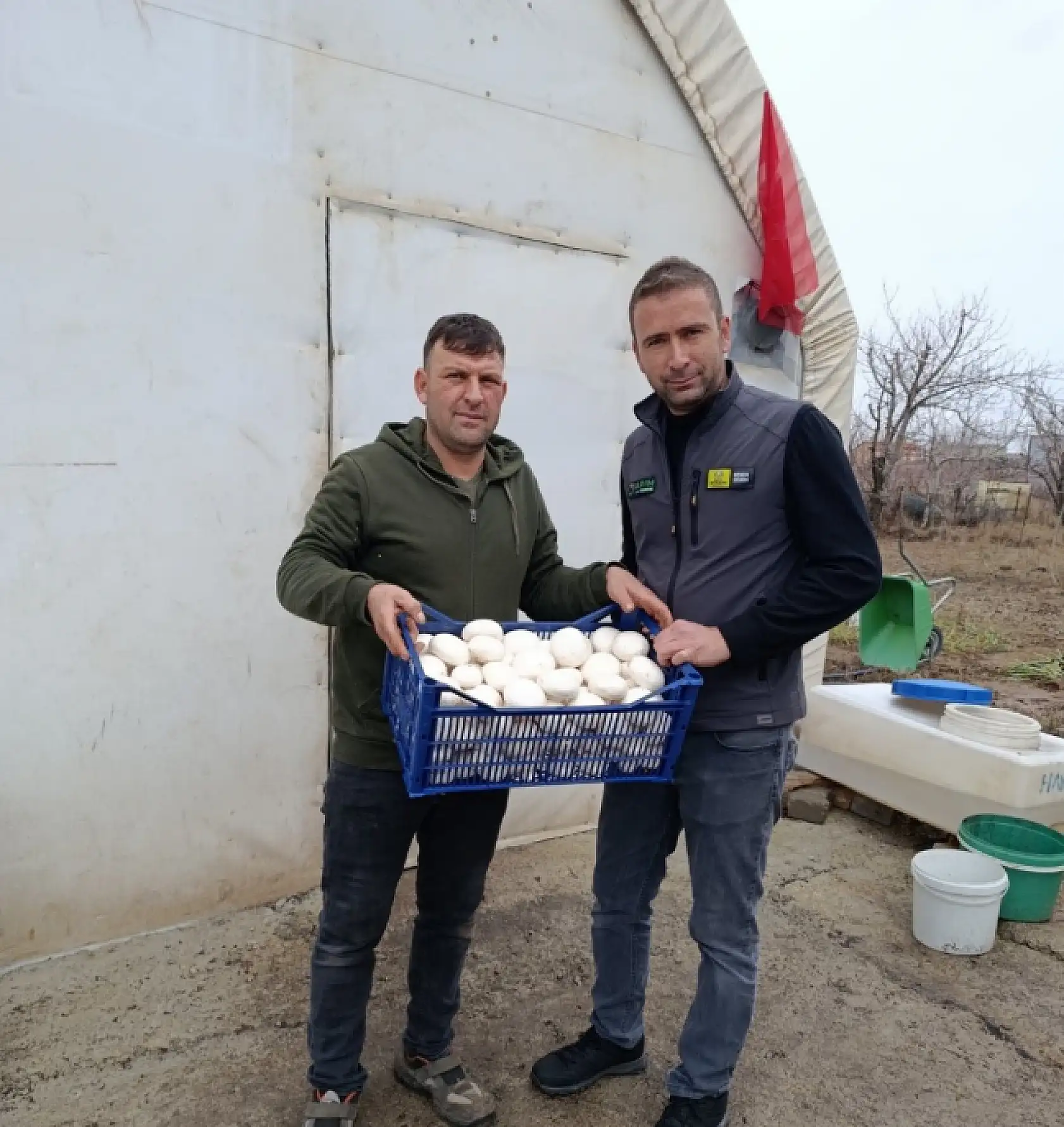 Konya'da mantar üretiminde kalite denetimi
