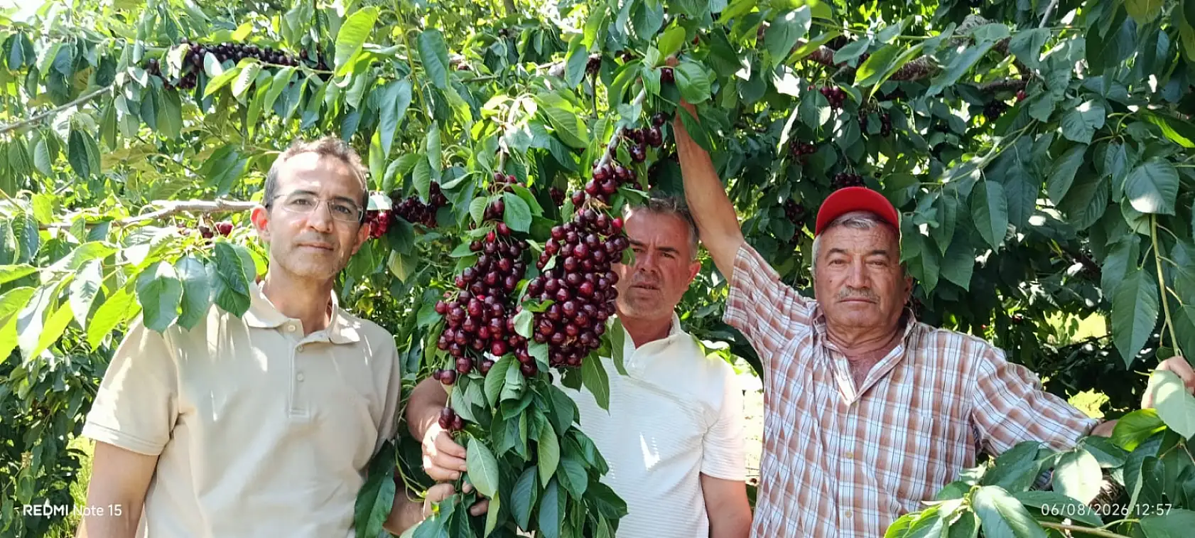 Konya'nın yüksek rakımlı lezzetinde son turfanda hasat