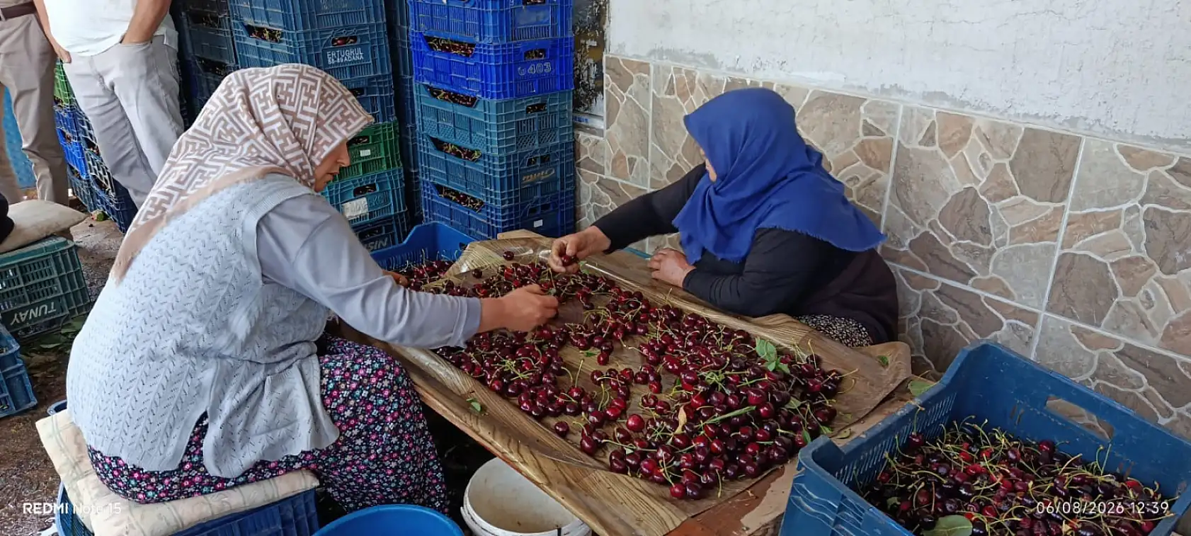 Konya'nın yüksek rakımlı lezzetinde son turfanda hasat