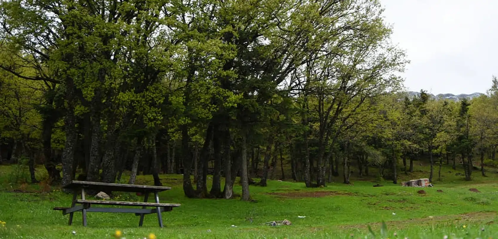 Konya'da doğanın içinde kamp yapılacak 10 yer